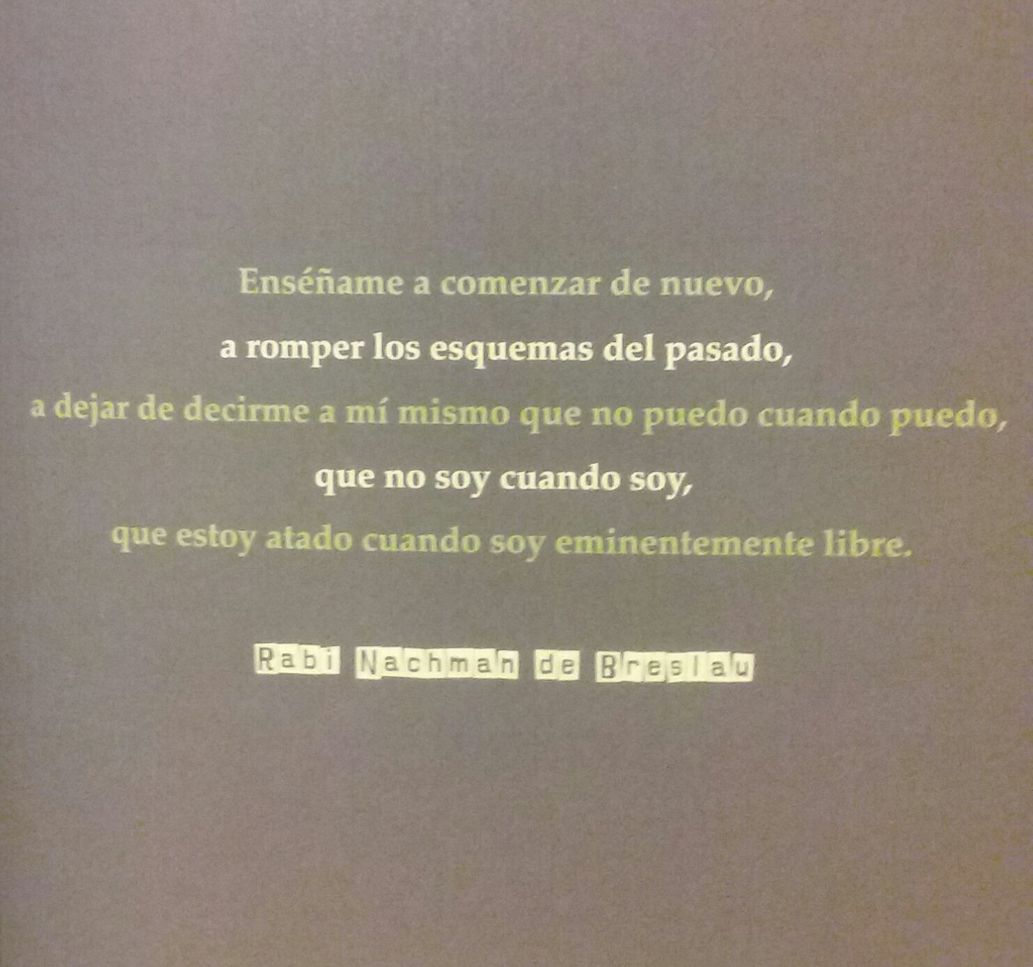 FRASESrabiLOSBULHE.jpg