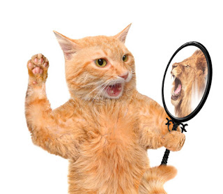 gato y león espejo.jpg