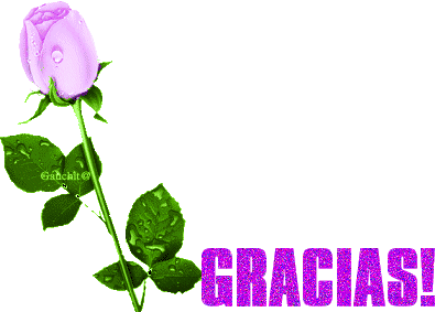 gracias (3).gif