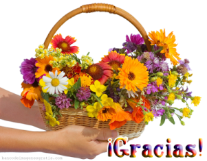 gracias.png