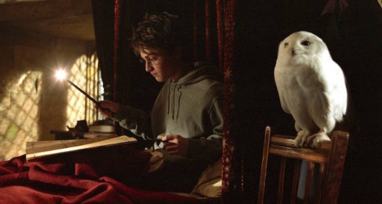 Harry-Potter-y-lechuza.png