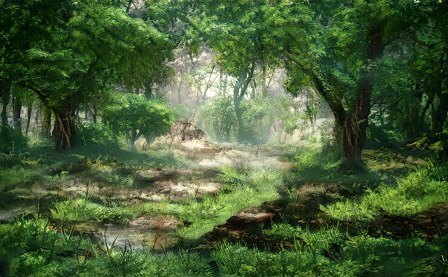 hermosos-arboles.jpg