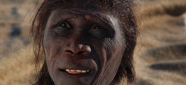 Homo-Ergaster.png