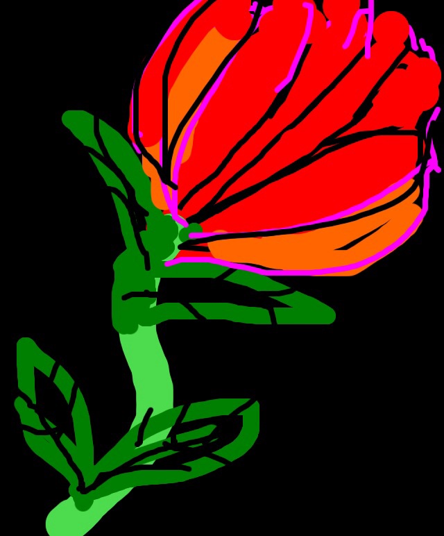 image.jpg