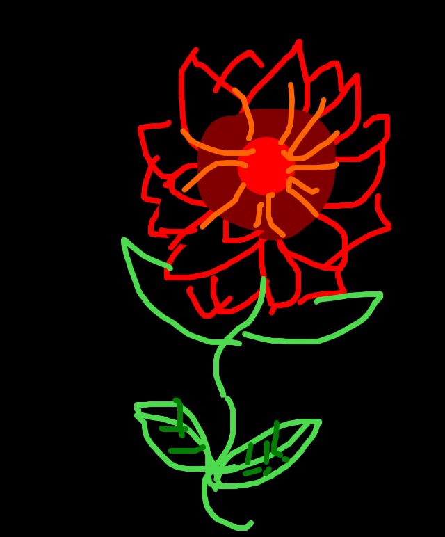 image.jpg