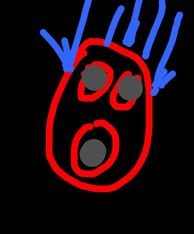 image.jpg