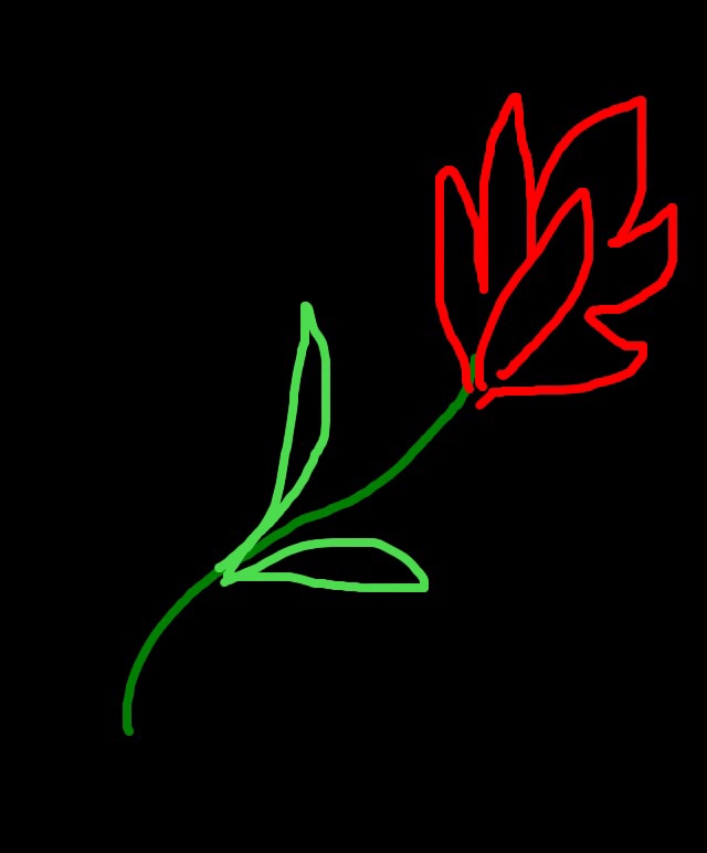image.jpg