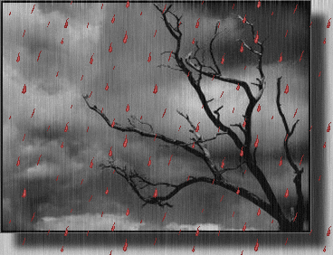 imageedit_5_8411952592.gif