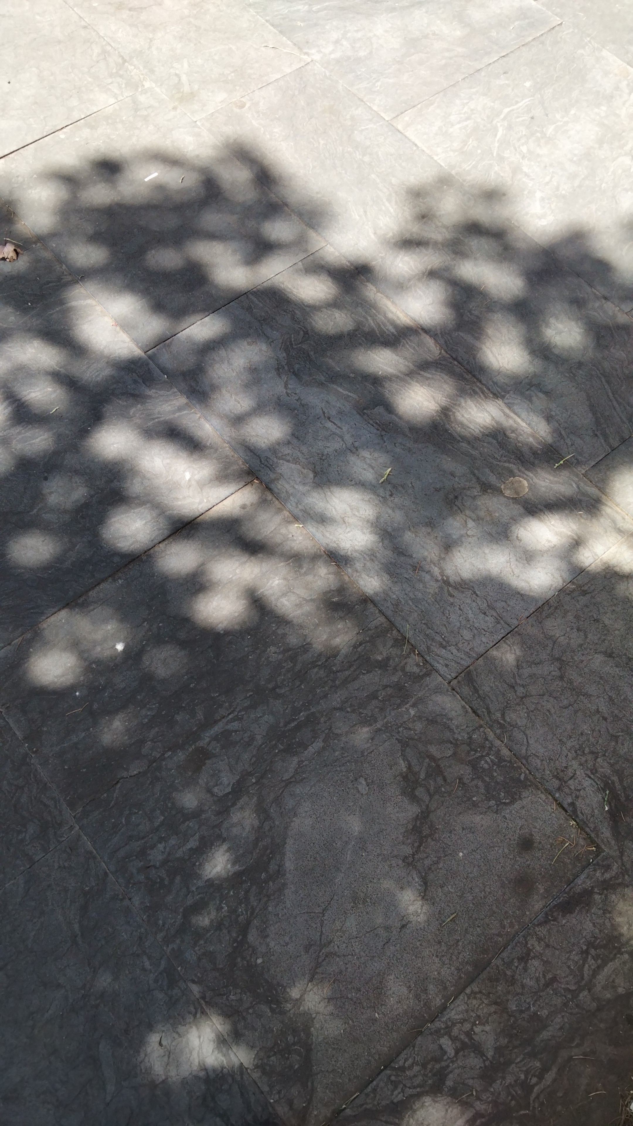 IMG-20220908-WA0002.jpeg