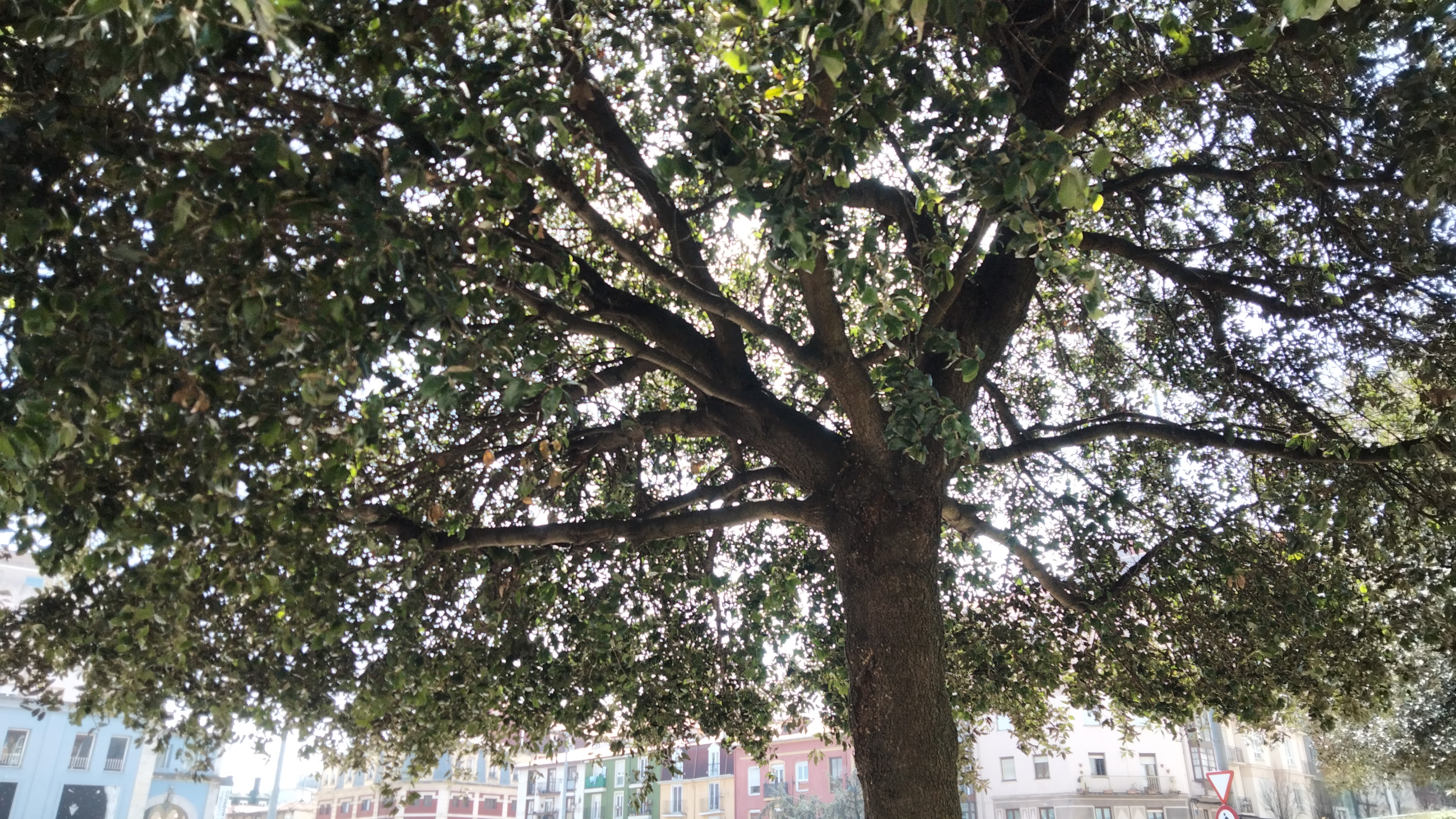IMG-20230420-WA0000.jpeg
