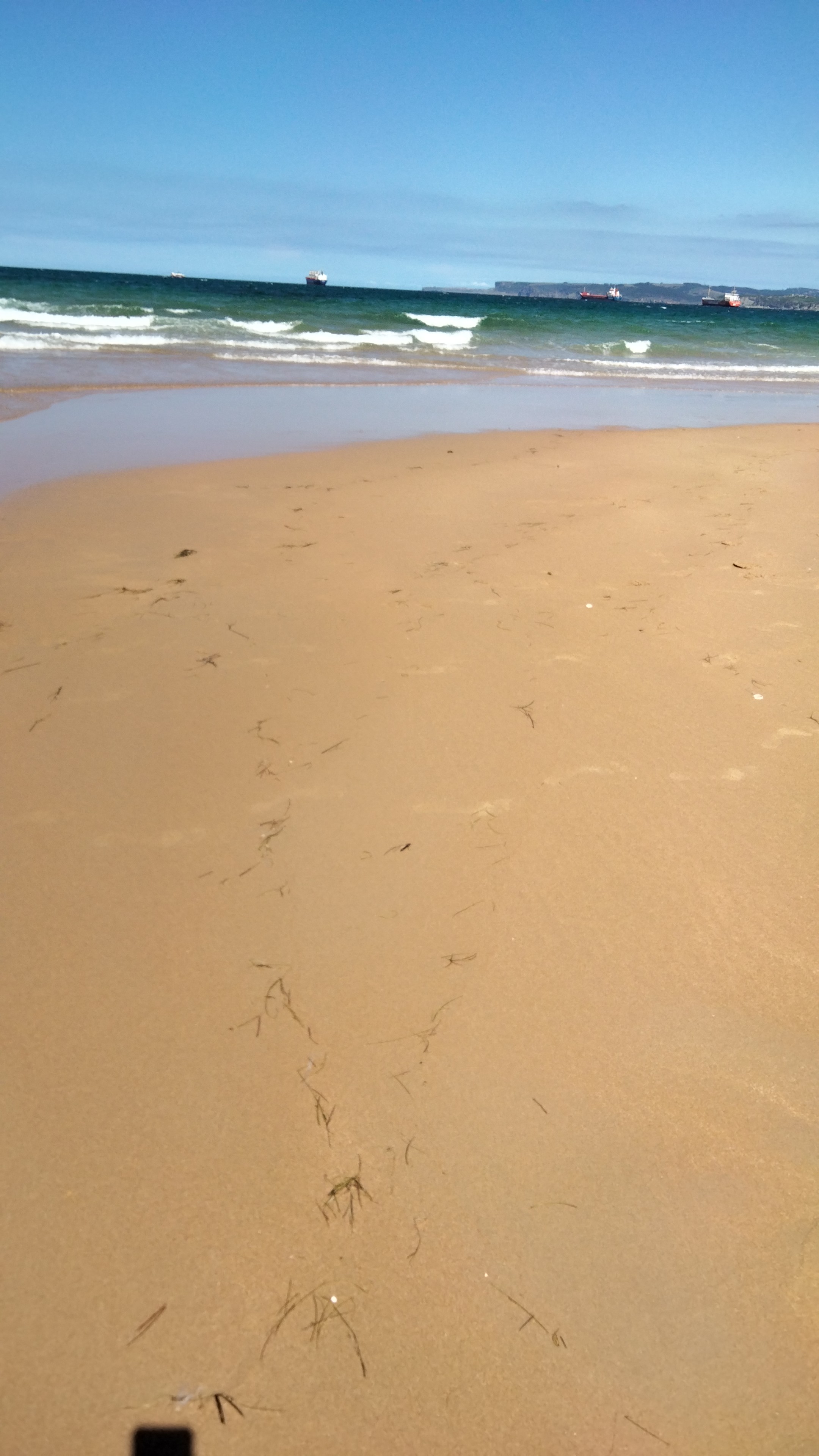 IMG-20230713-WA0006.jpeg