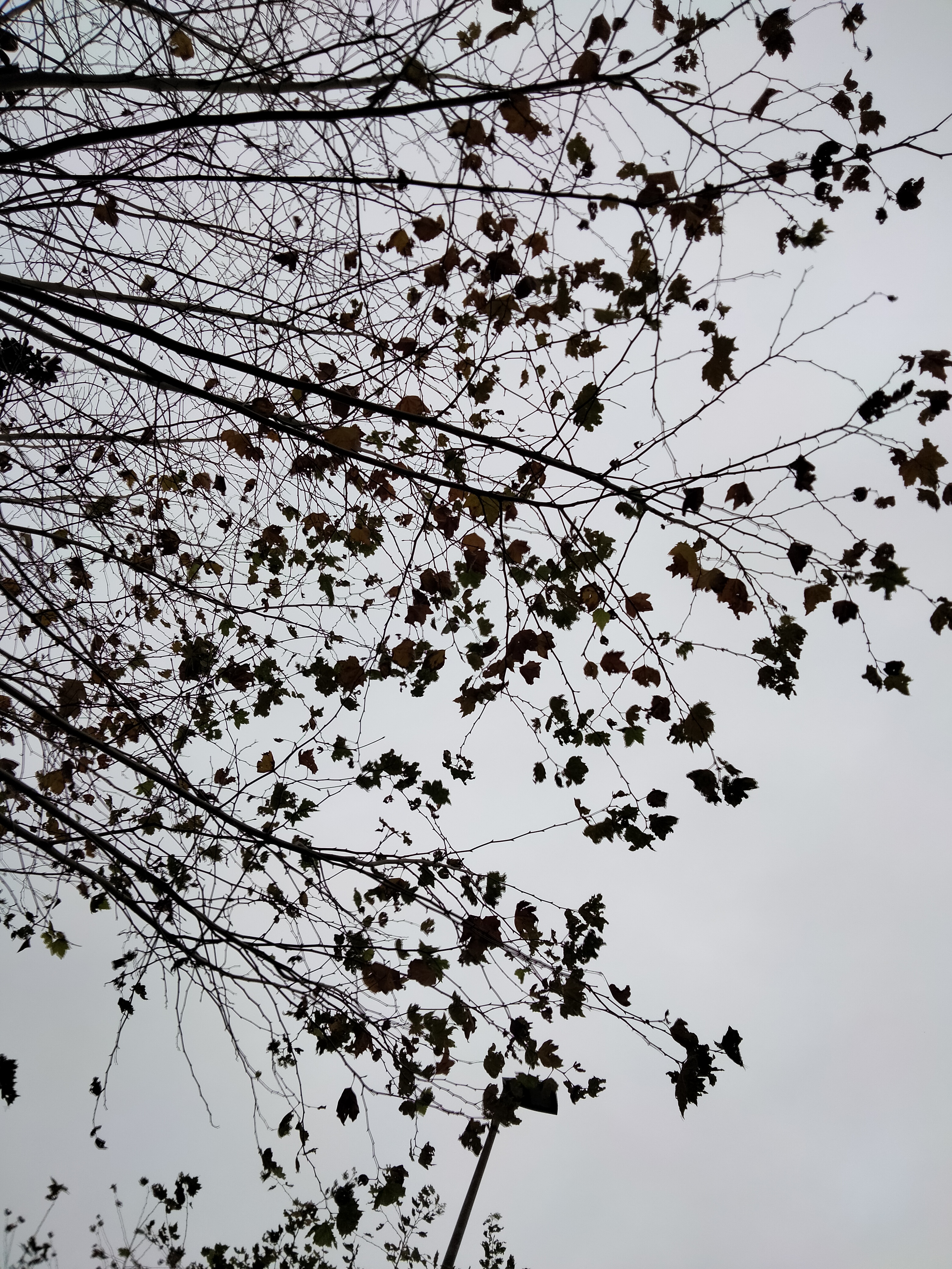 IMG20211203140200.jpg