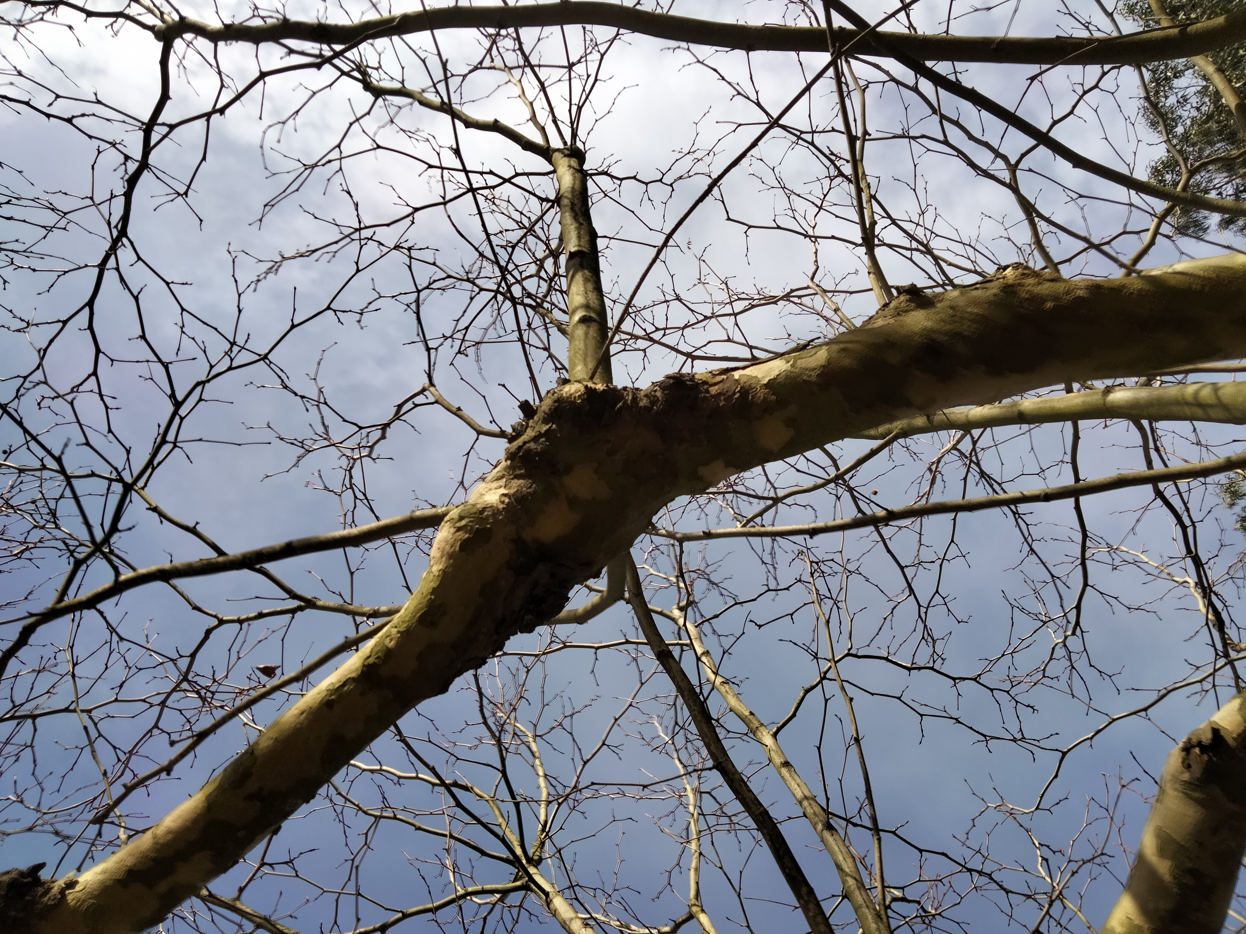 IMG20211225121055.jpg