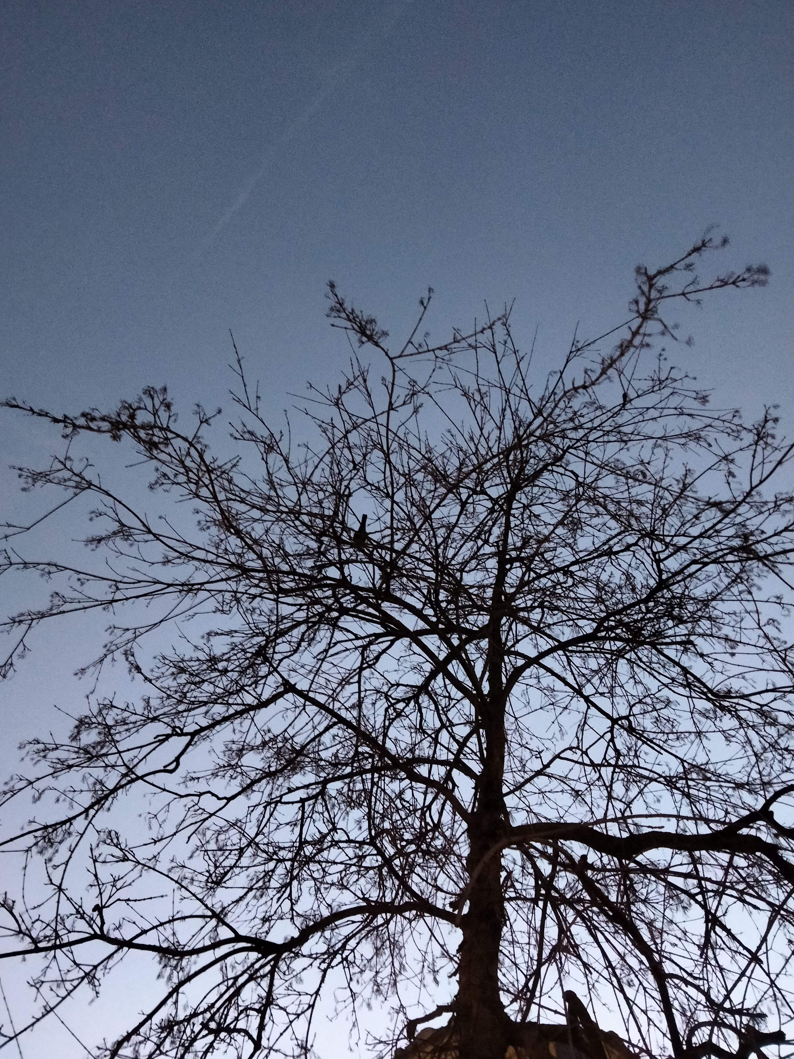 IMG20211229181038.jpg