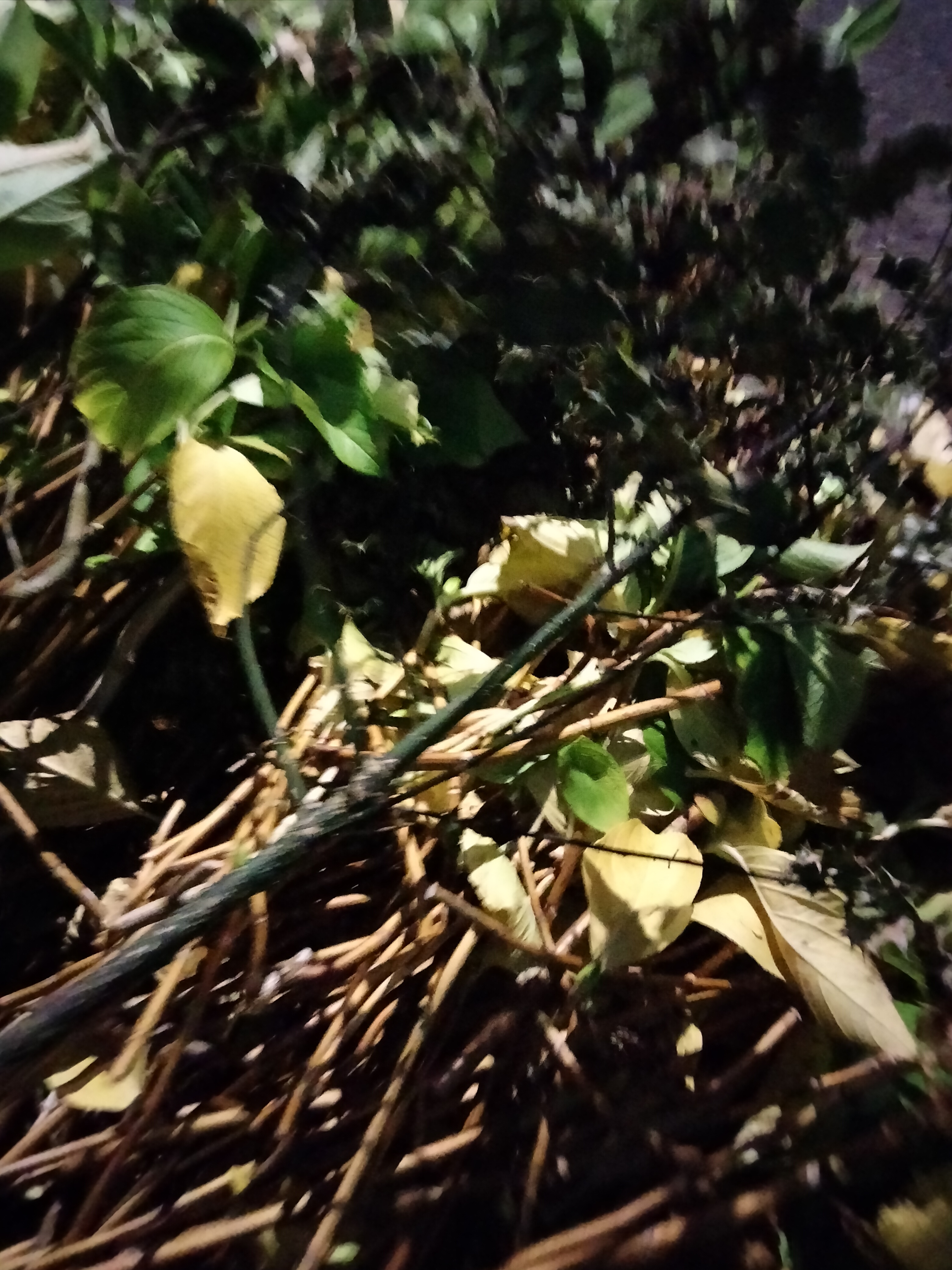 IMG20211231182907.jpg