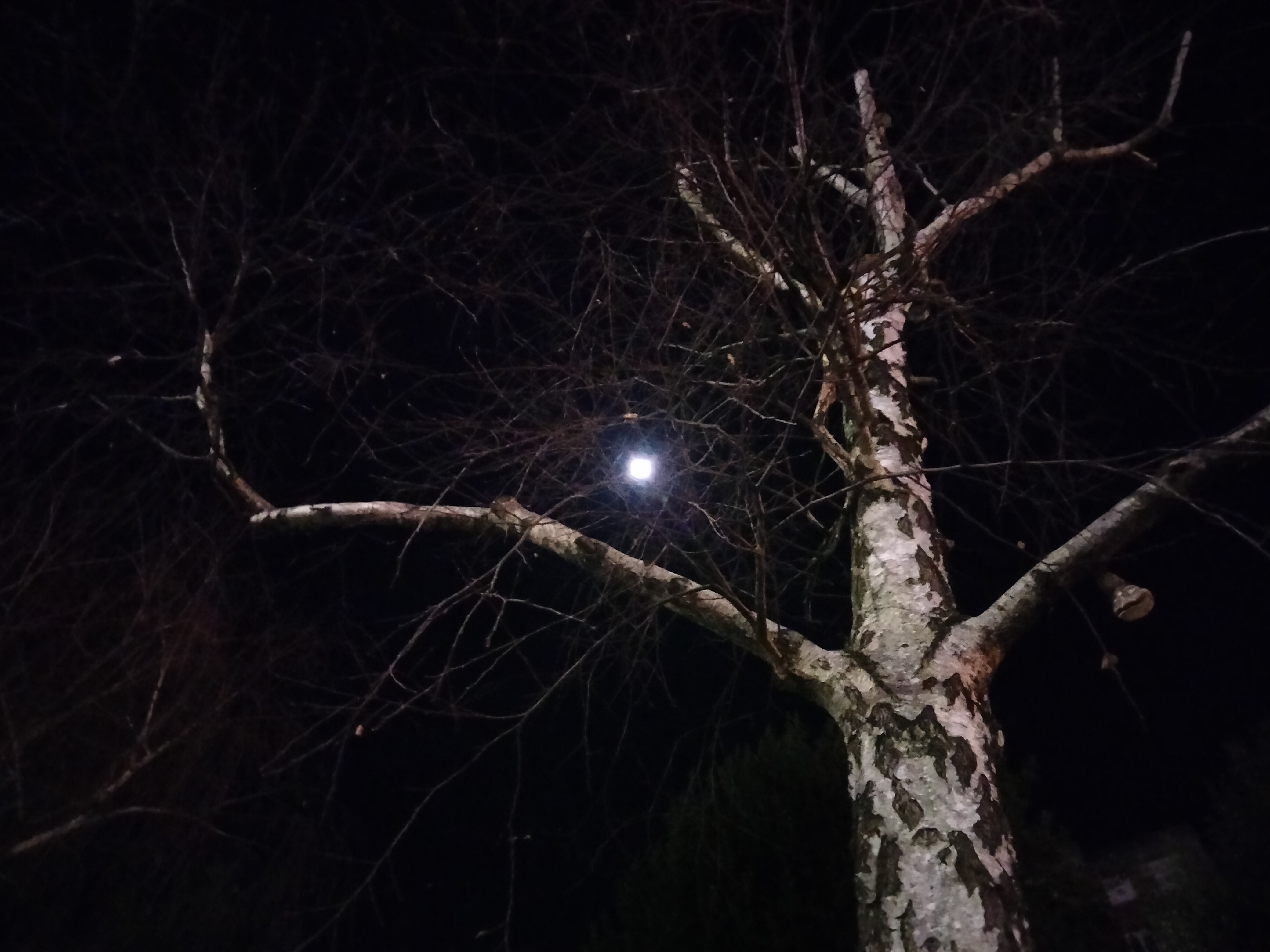 IMG20220113202124.jpg