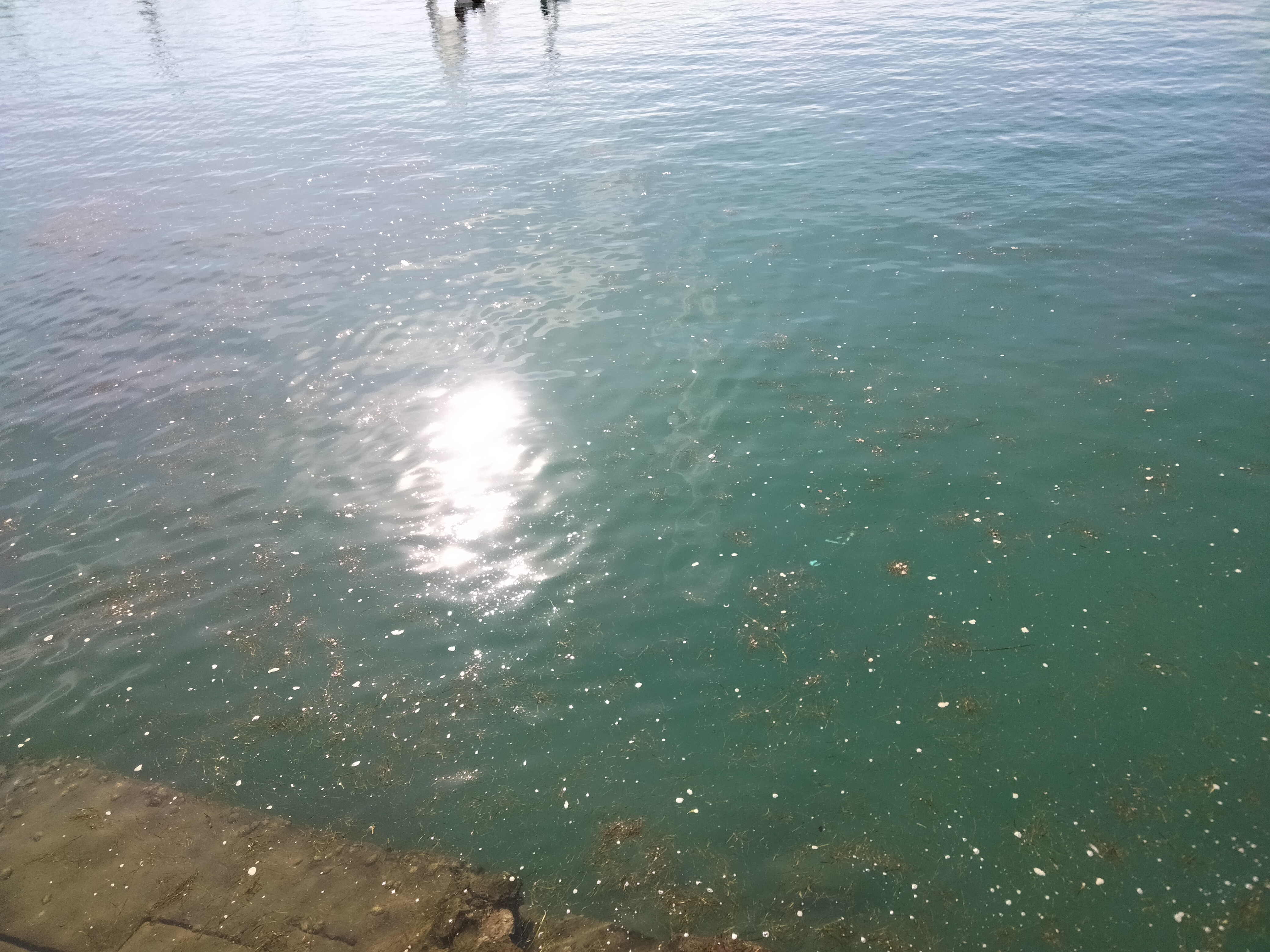 IMG20220223115736.jpg