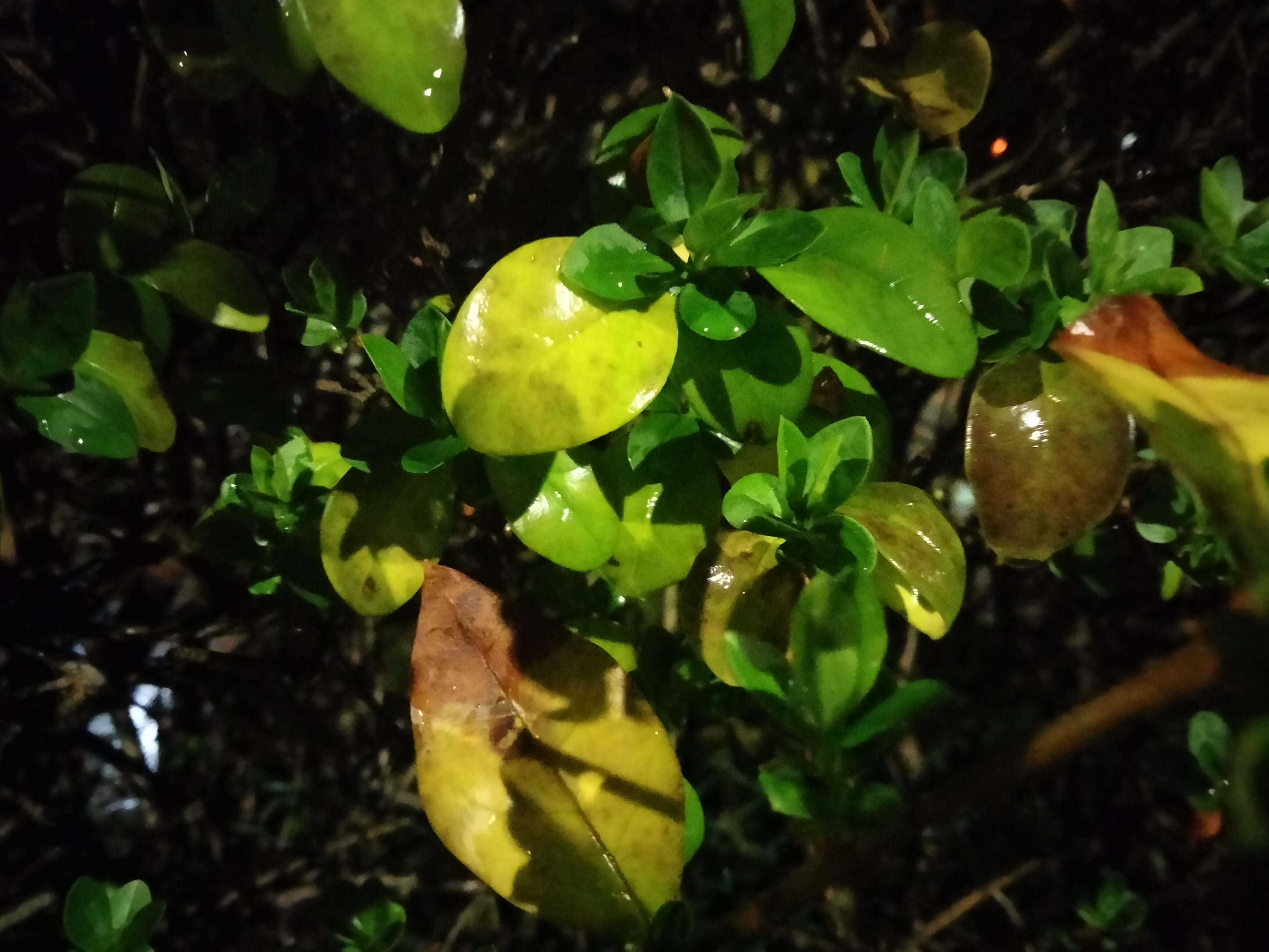 IMG20220303195348.jpg