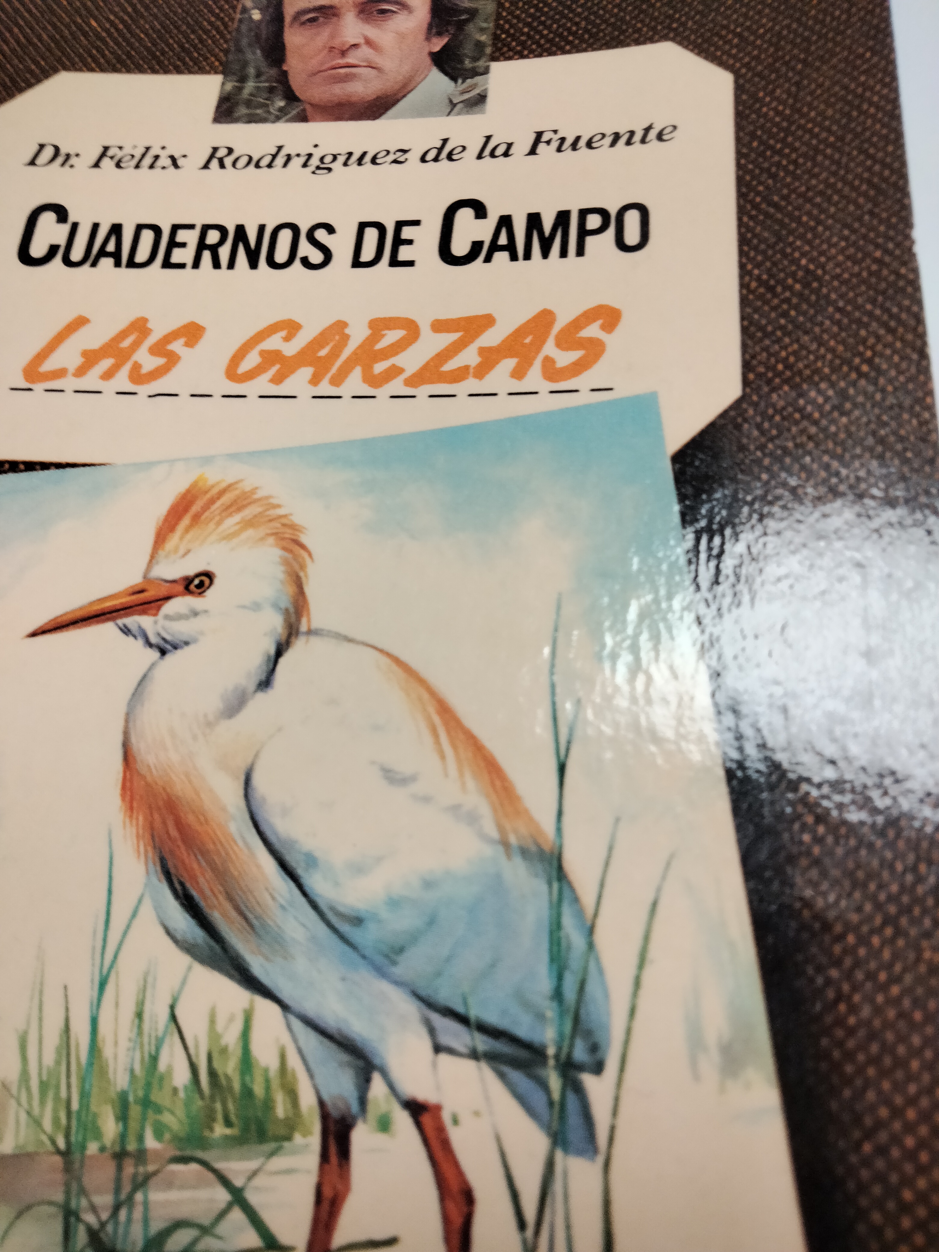 IMG20220311090536.jpg