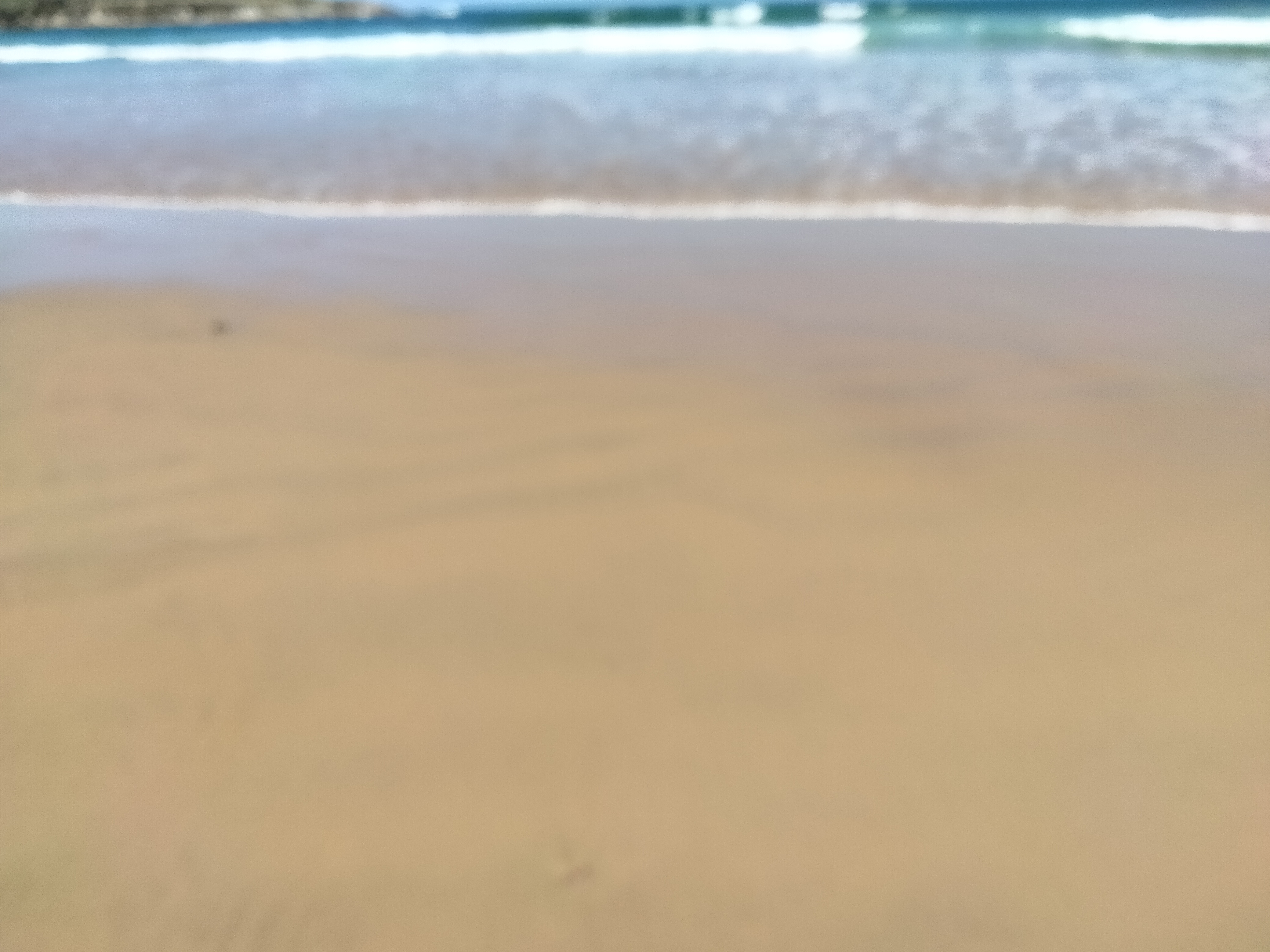 IMG20220313124506.jpg