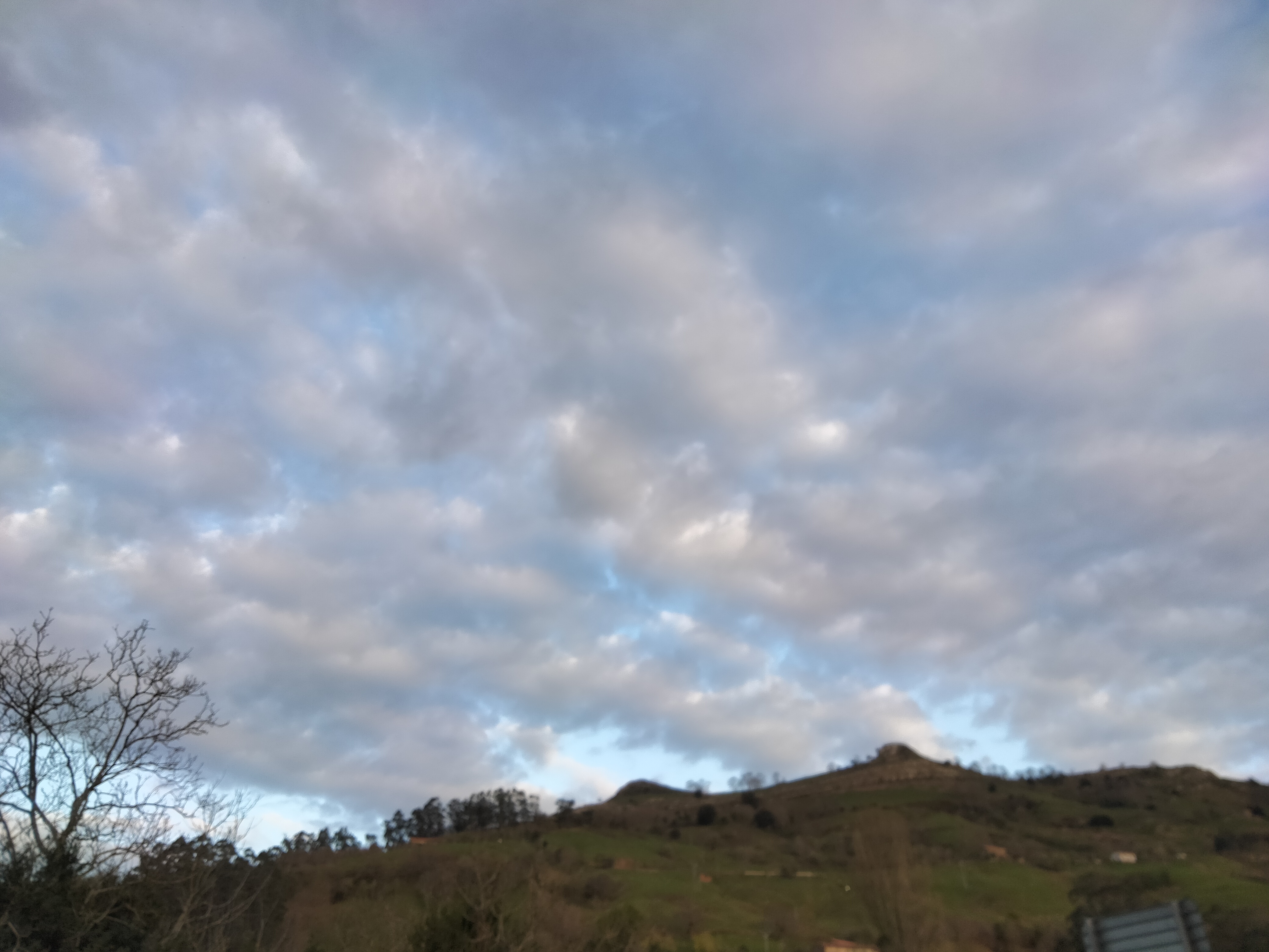 IMG20220320184420.jpg