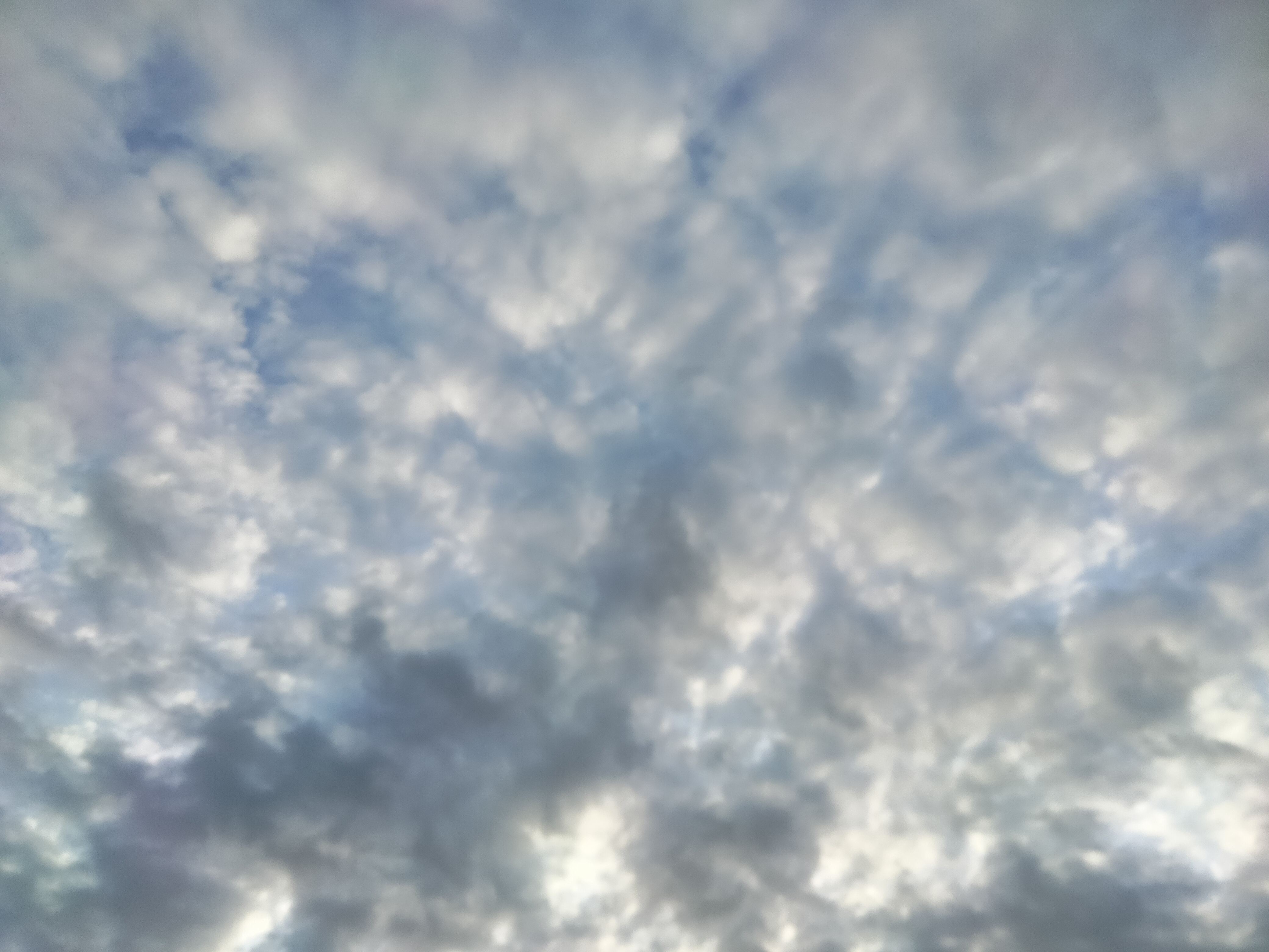 IMG20220320184428.jpg