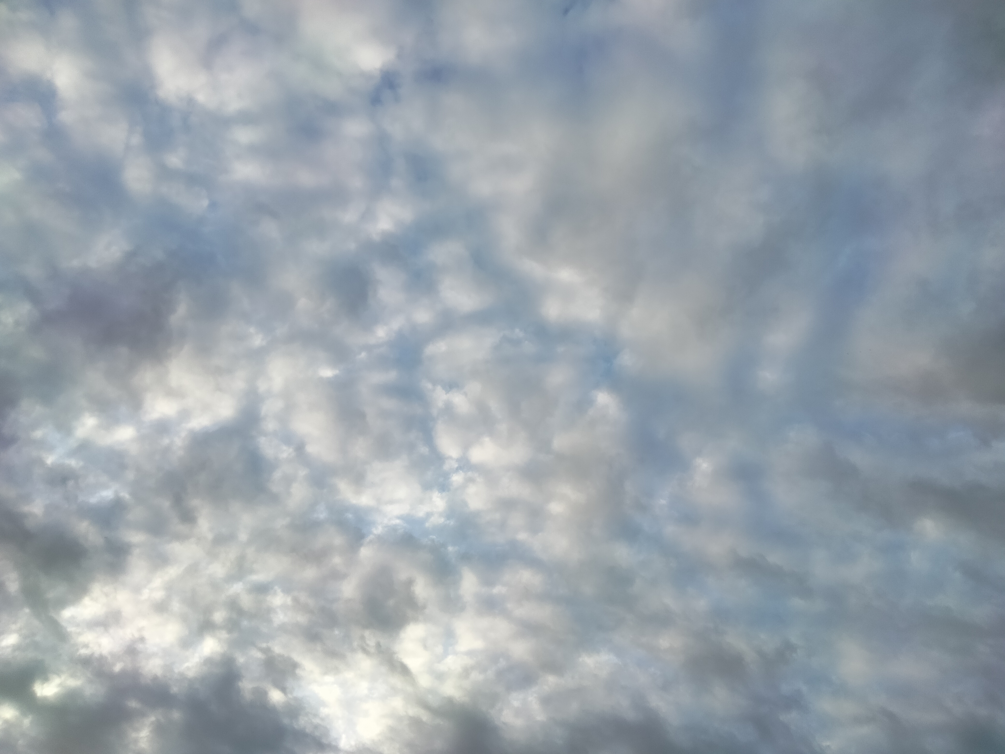 IMG20220320184434.jpg