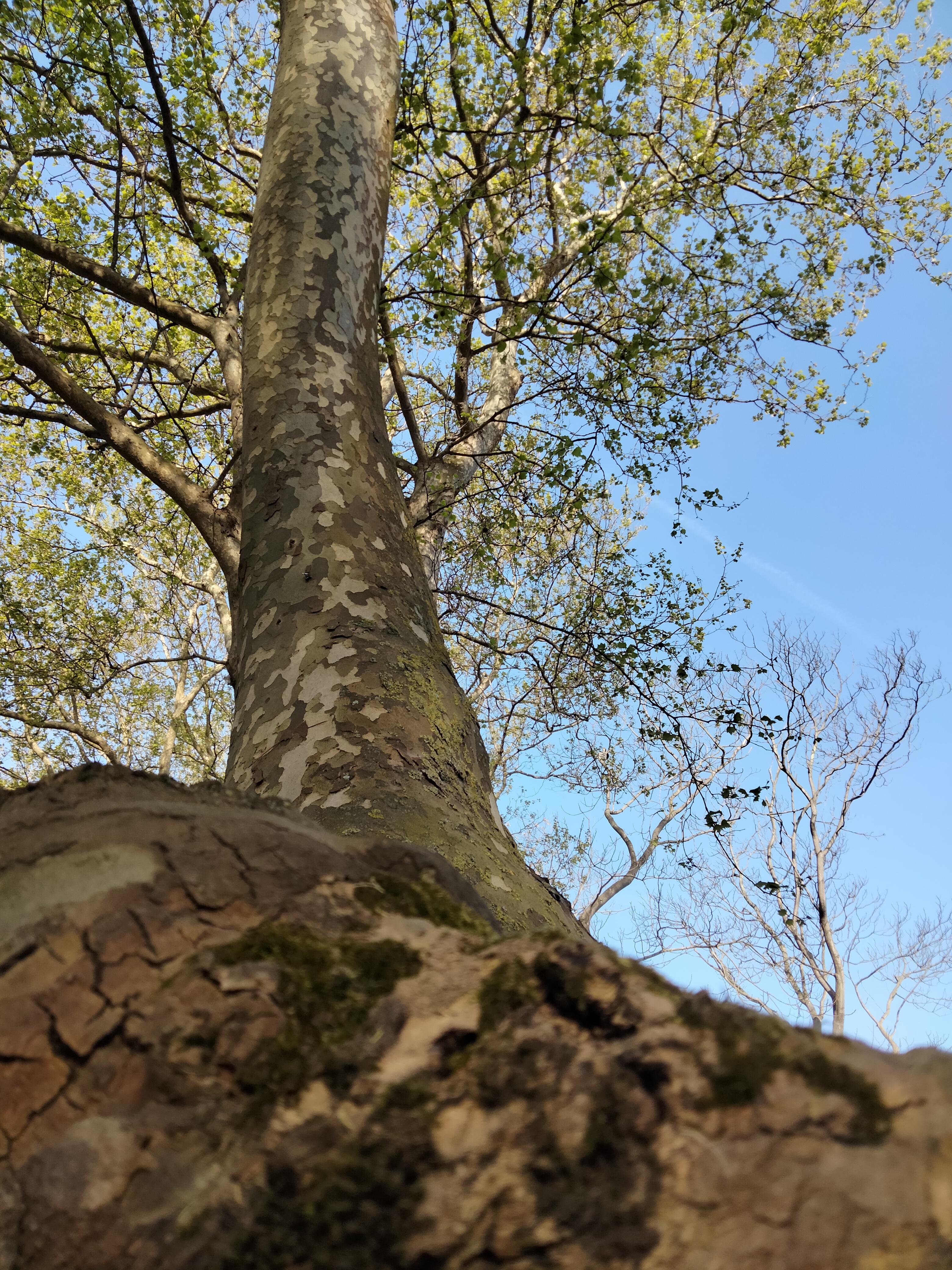 IMG20220326095712.jpg
