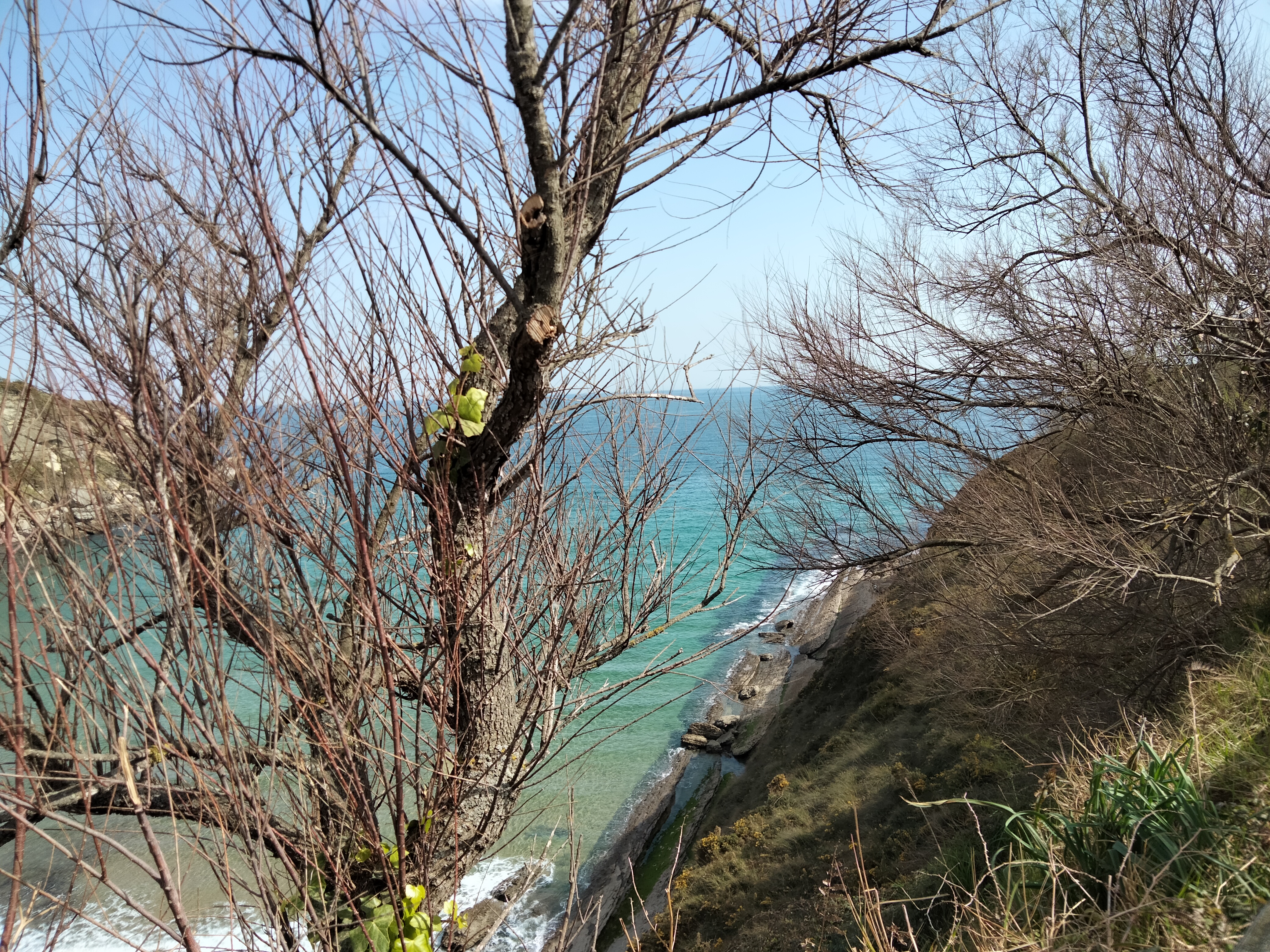 IMG20220326113857.jpg