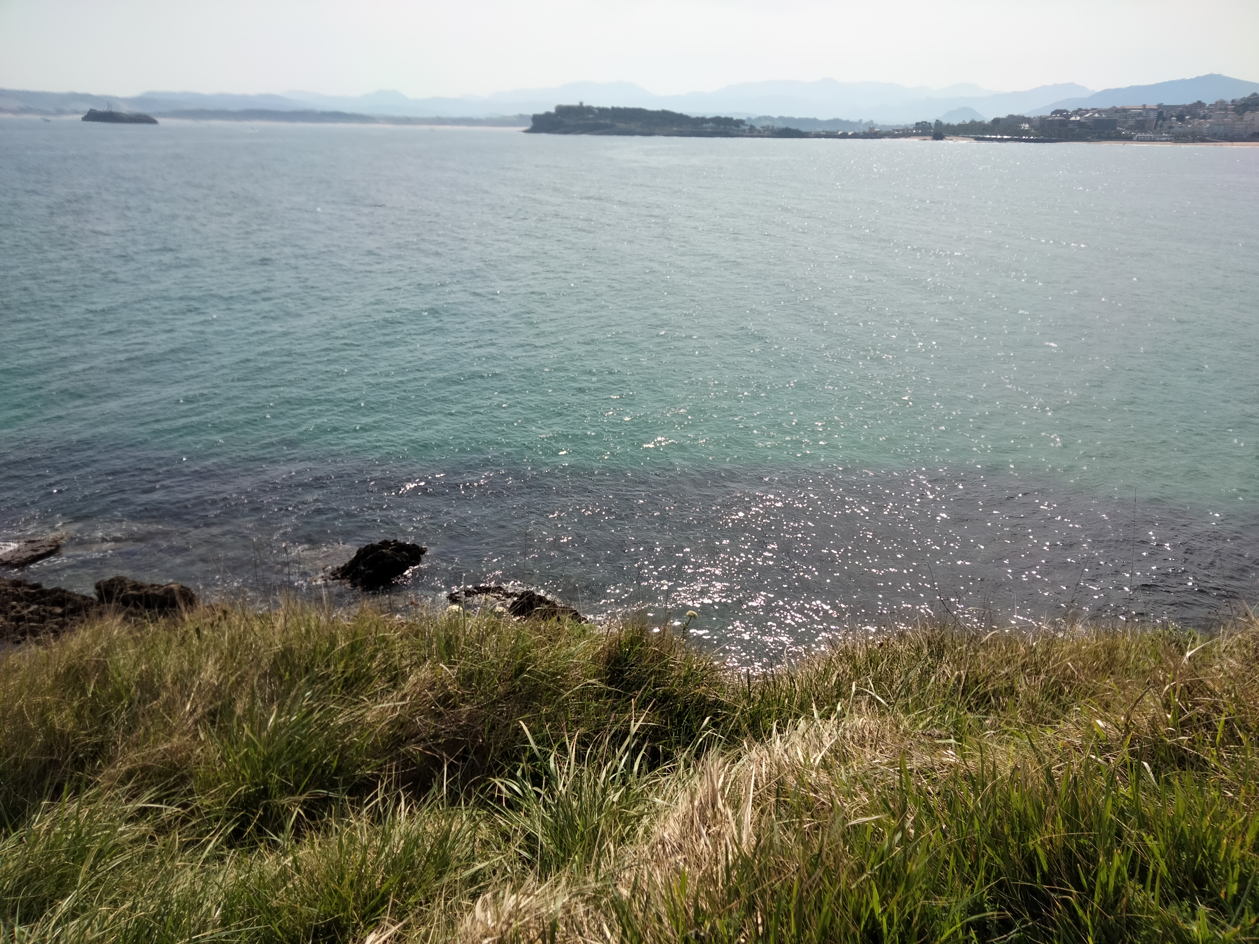 IMG20220326122529.jpg