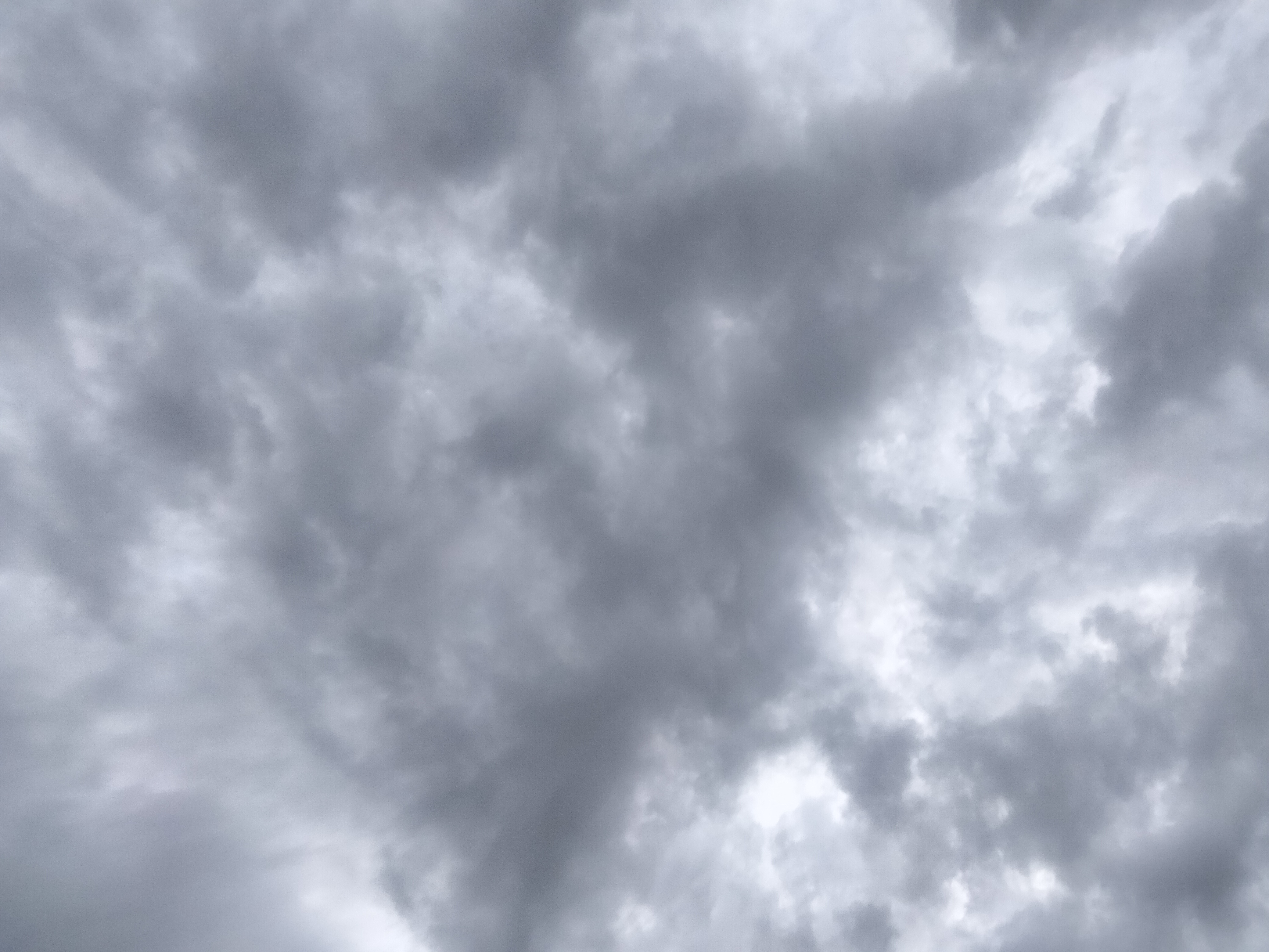 IMG20220412205144.jpg