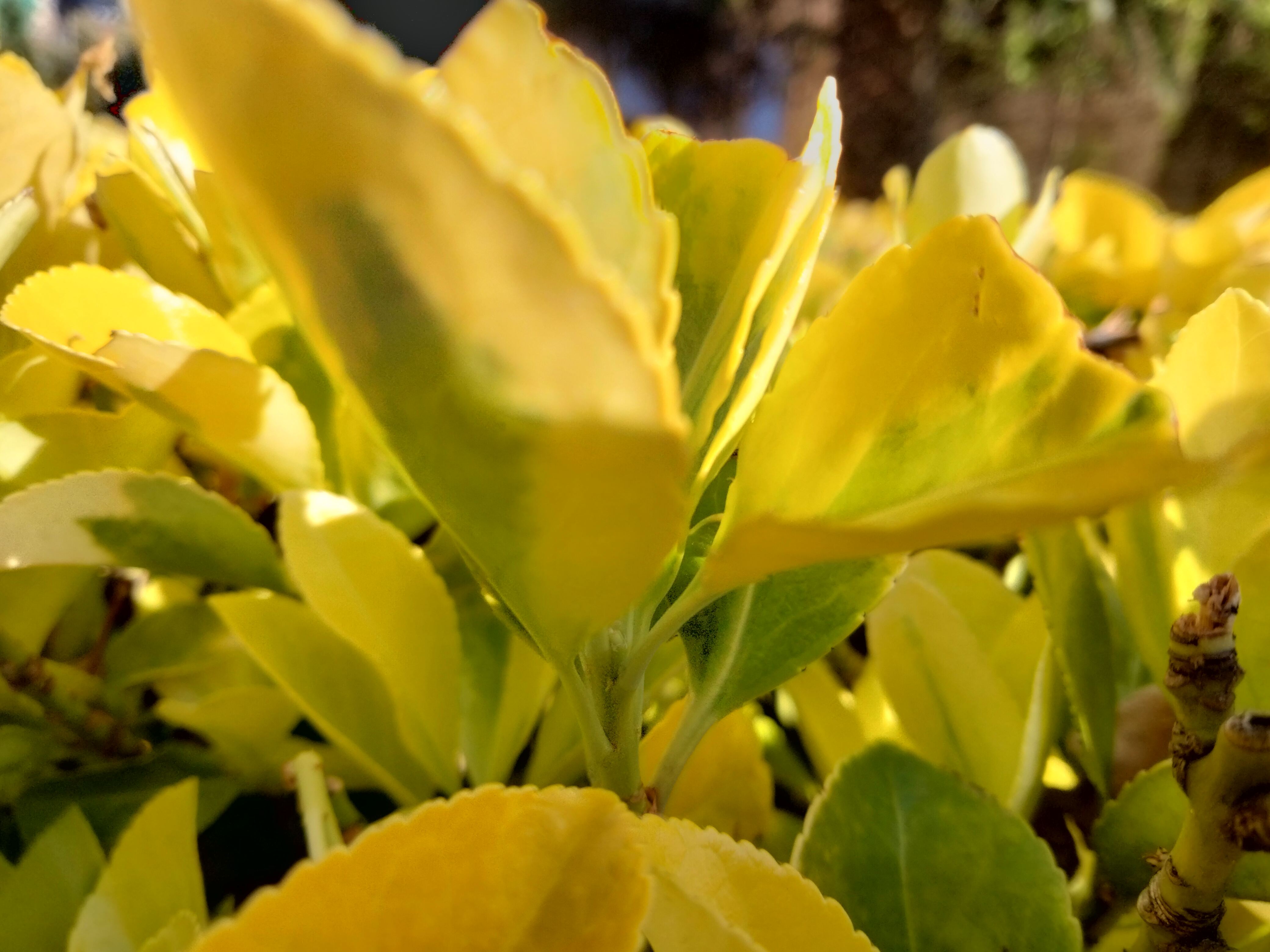 IMG20220421184949.jpg