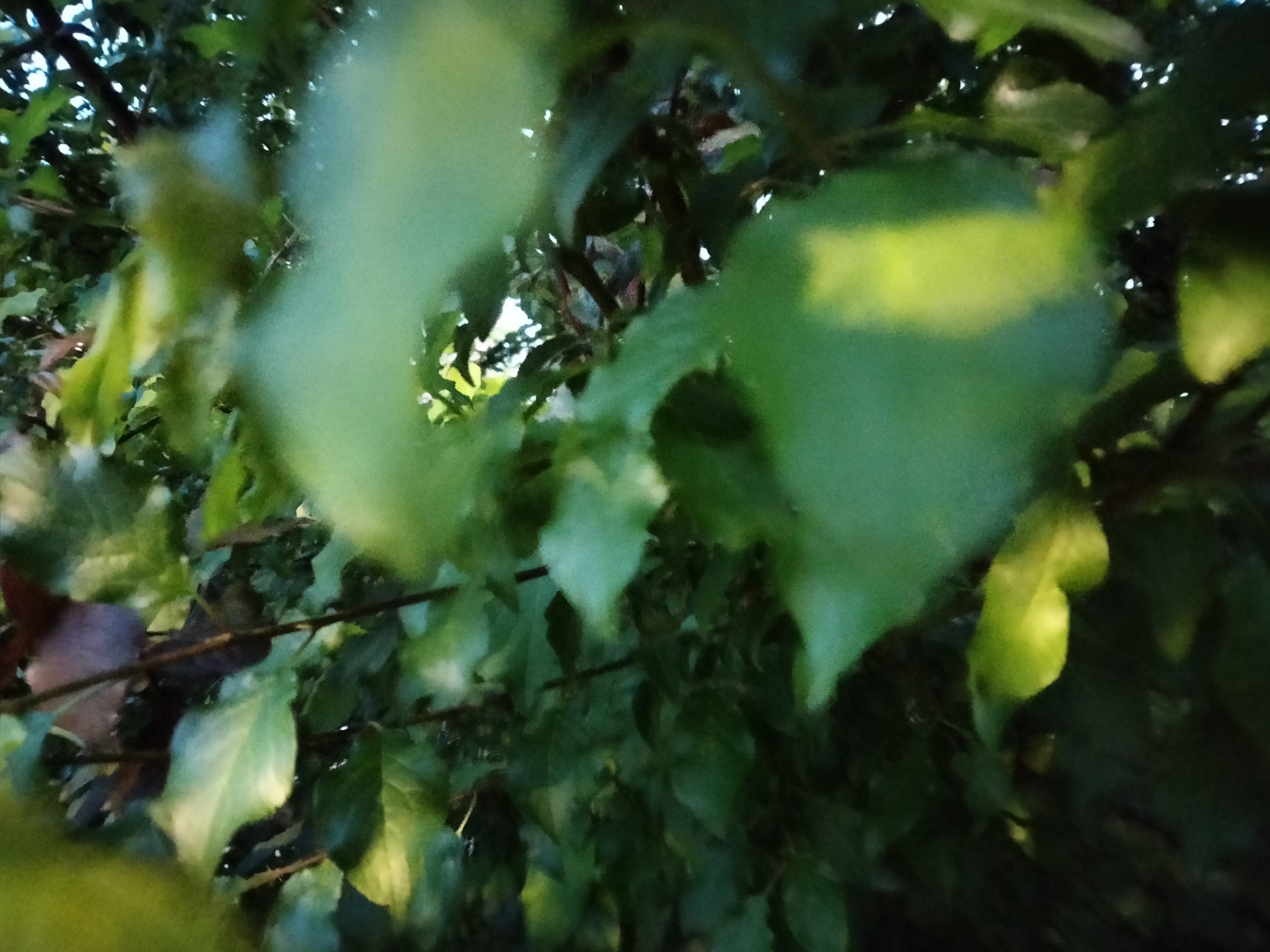 IMG20220425212005.jpg
