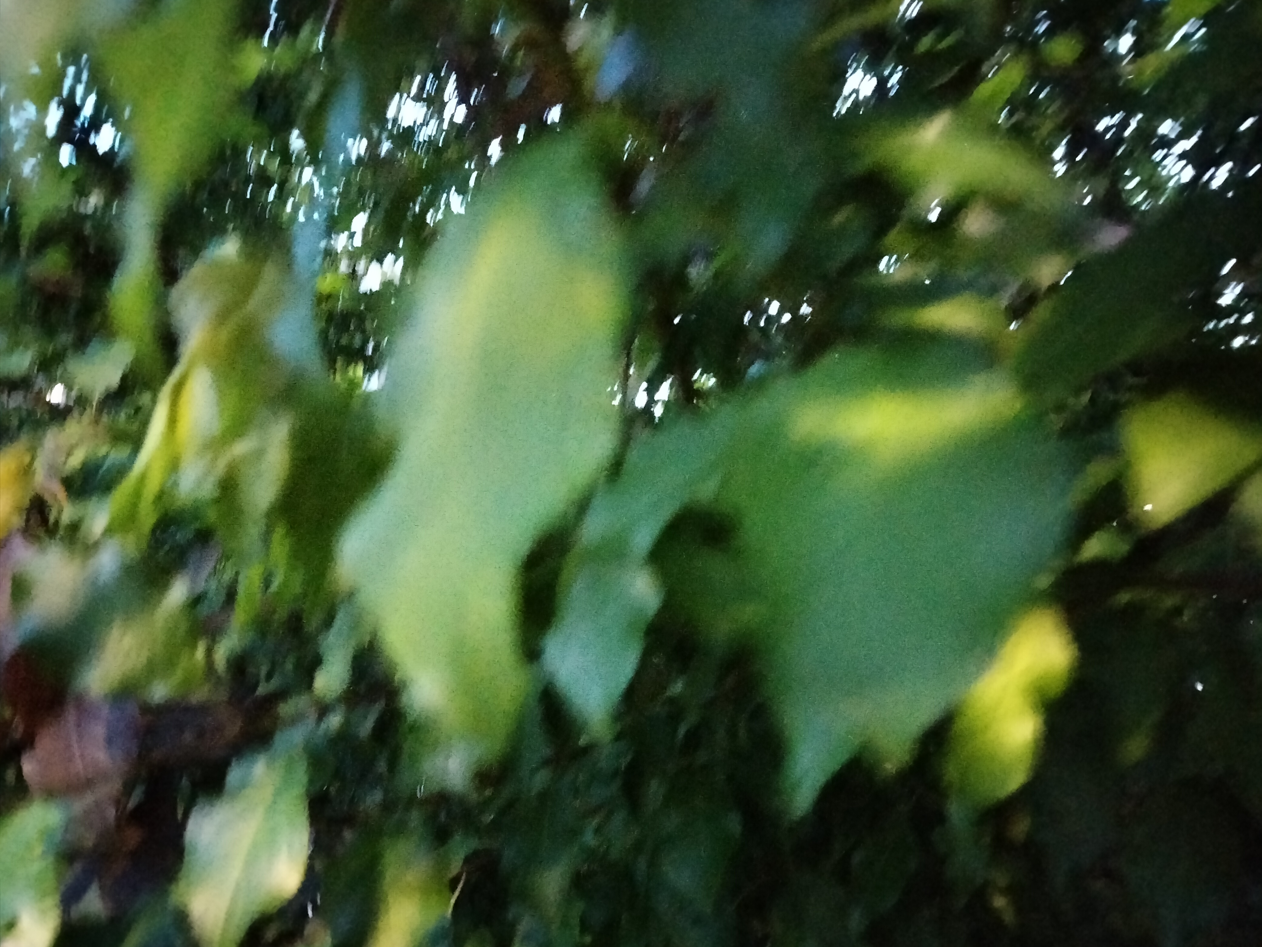 IMG20220425212006.jpg