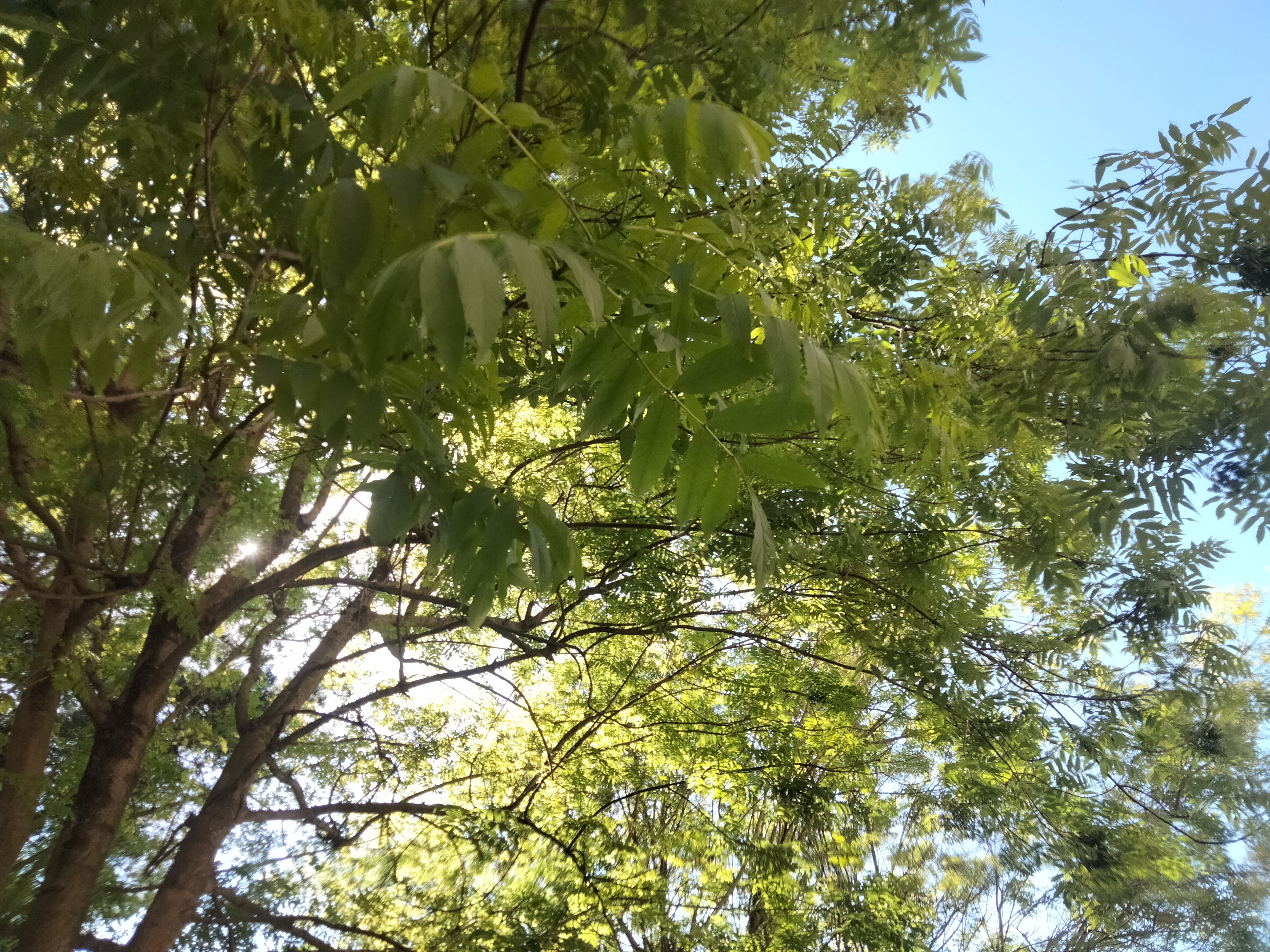 IMG20220508165620.jpg