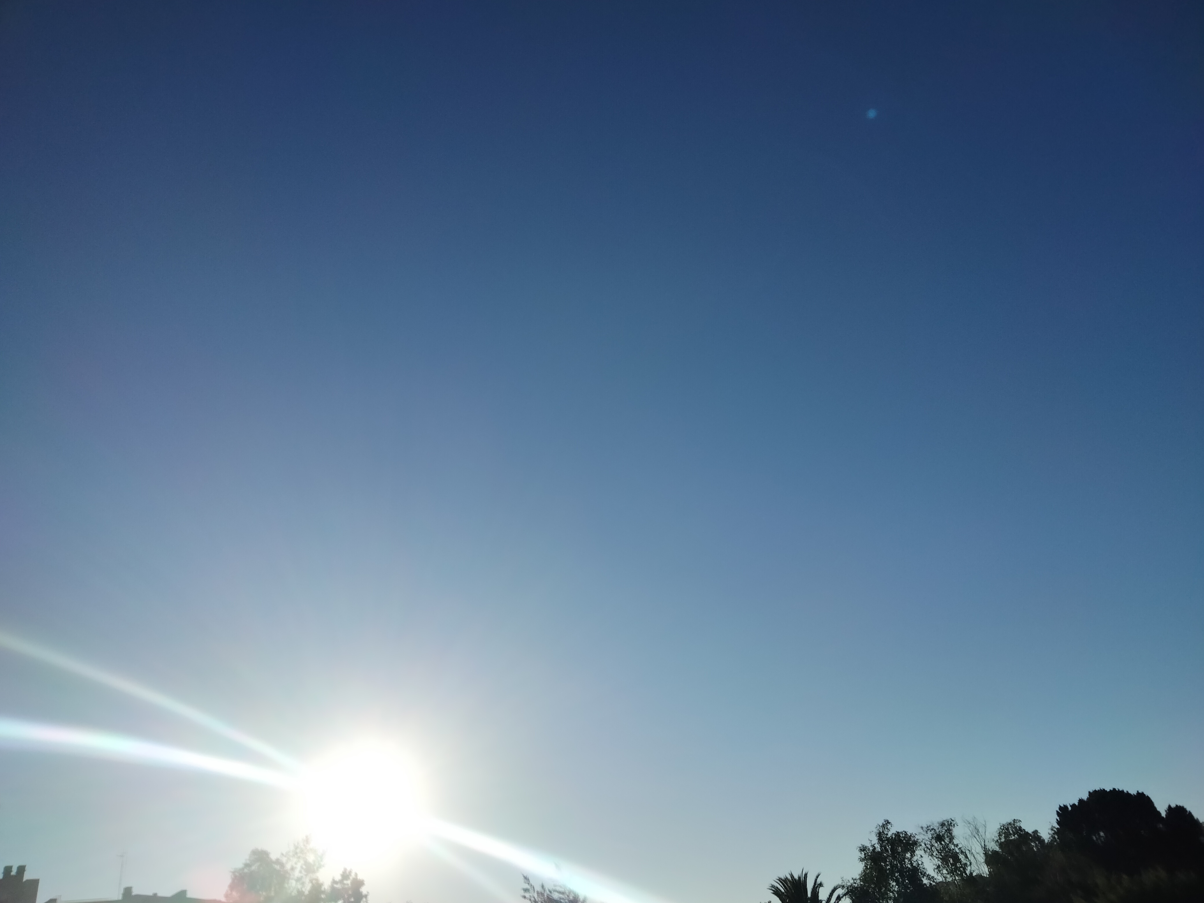 IMG20220528201716.jpg