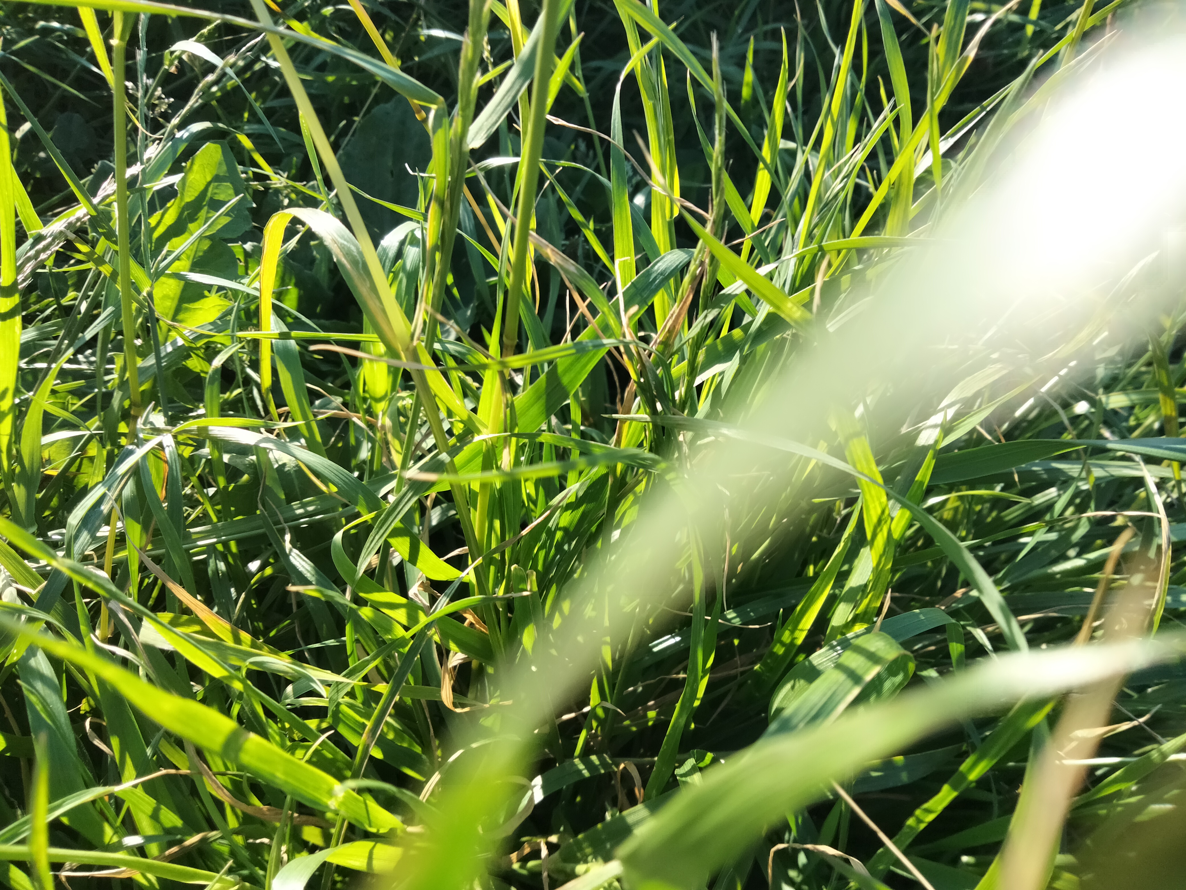 IMG20220528201820.jpg