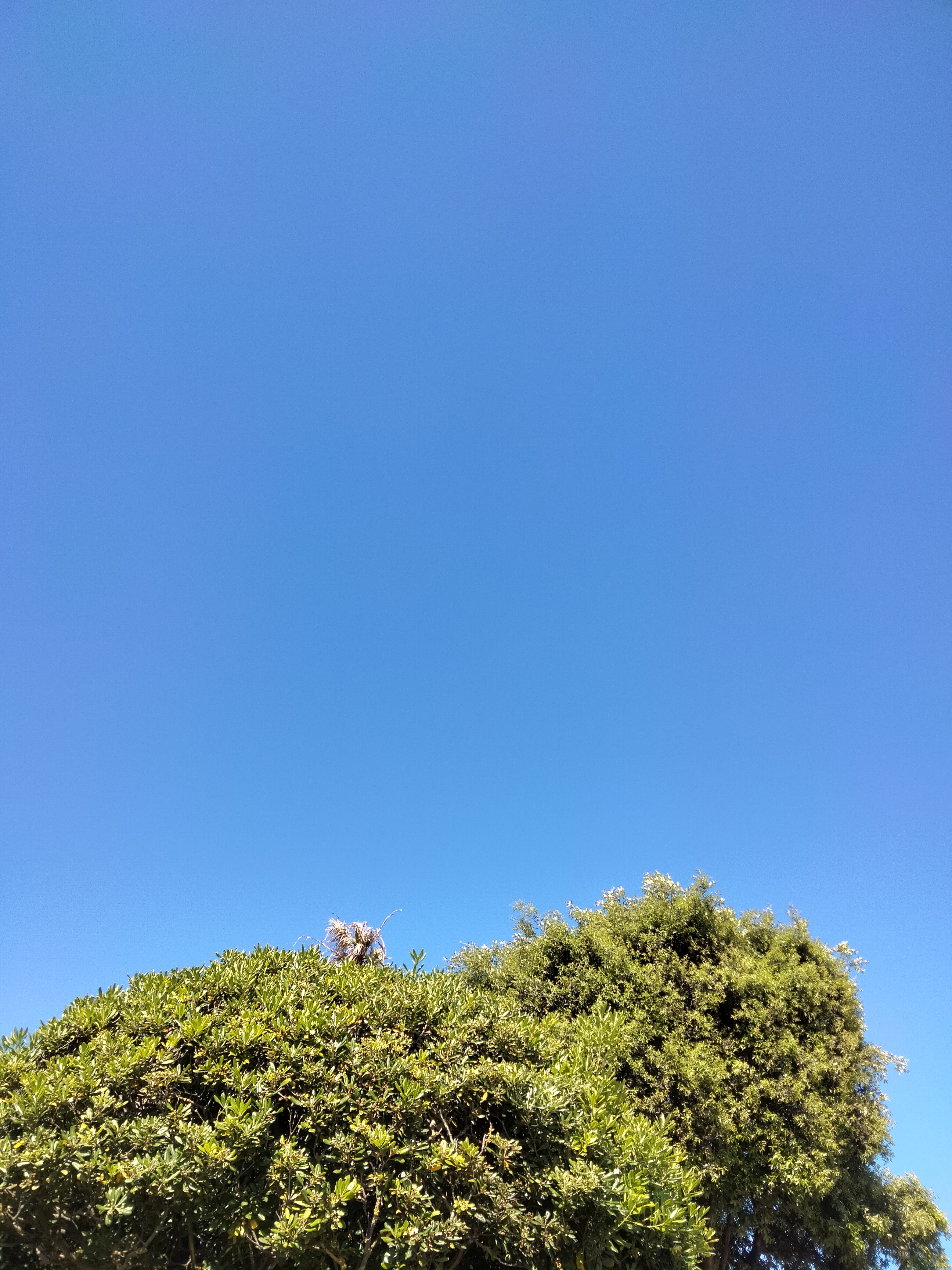 IMG20220529111626.jpg