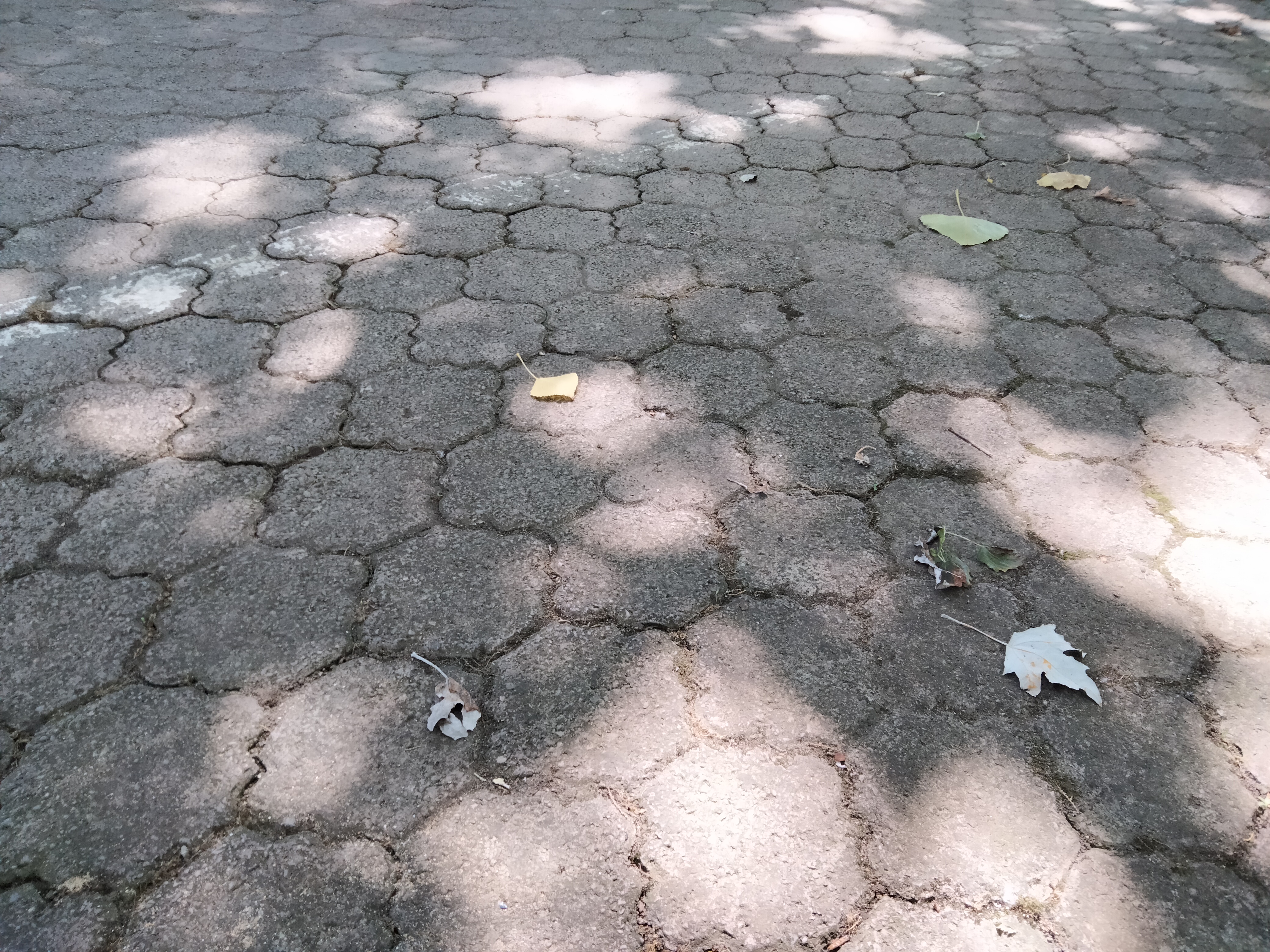 IMG20220710120530.jpg