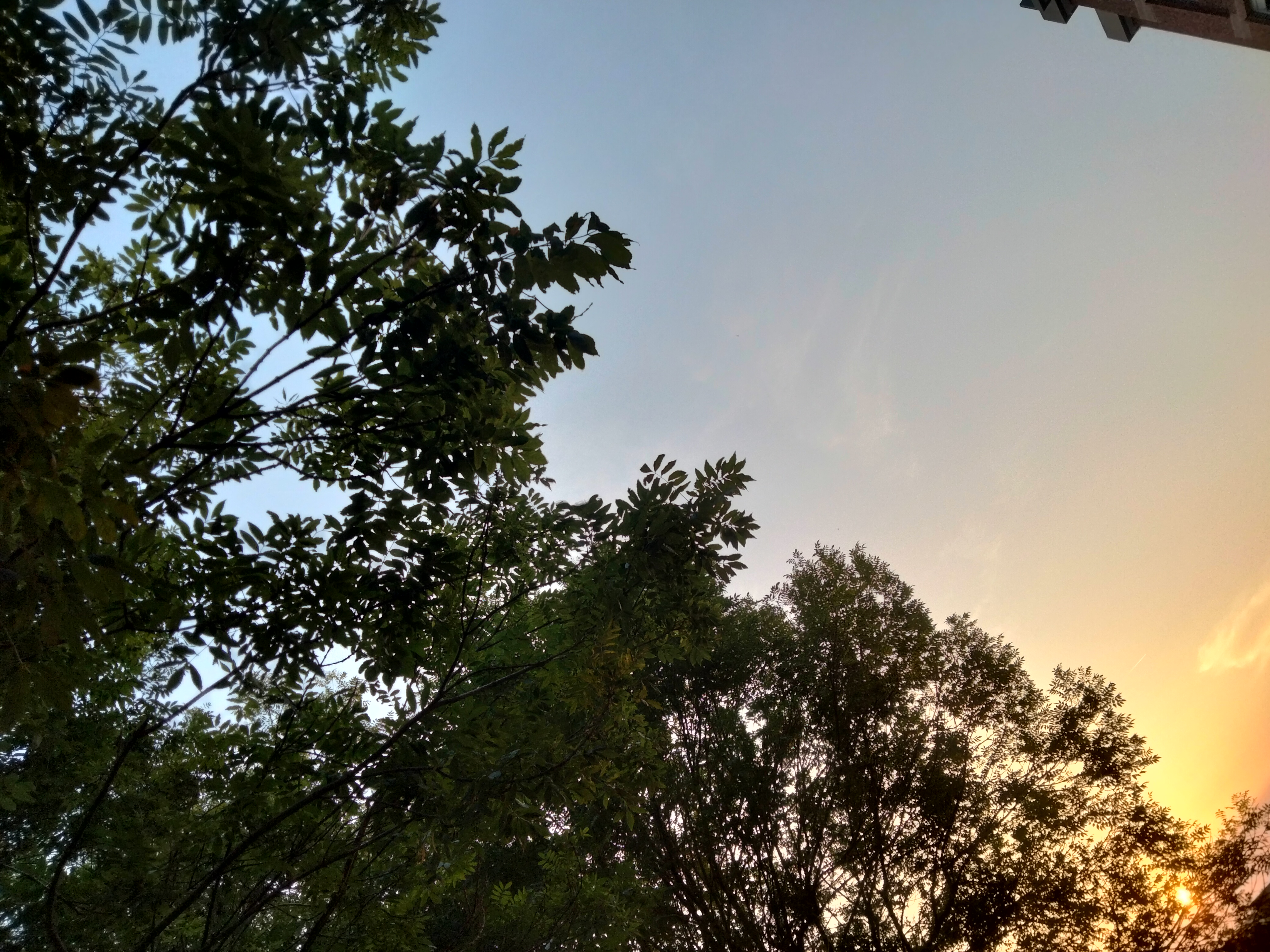 IMG20220713212609.jpg