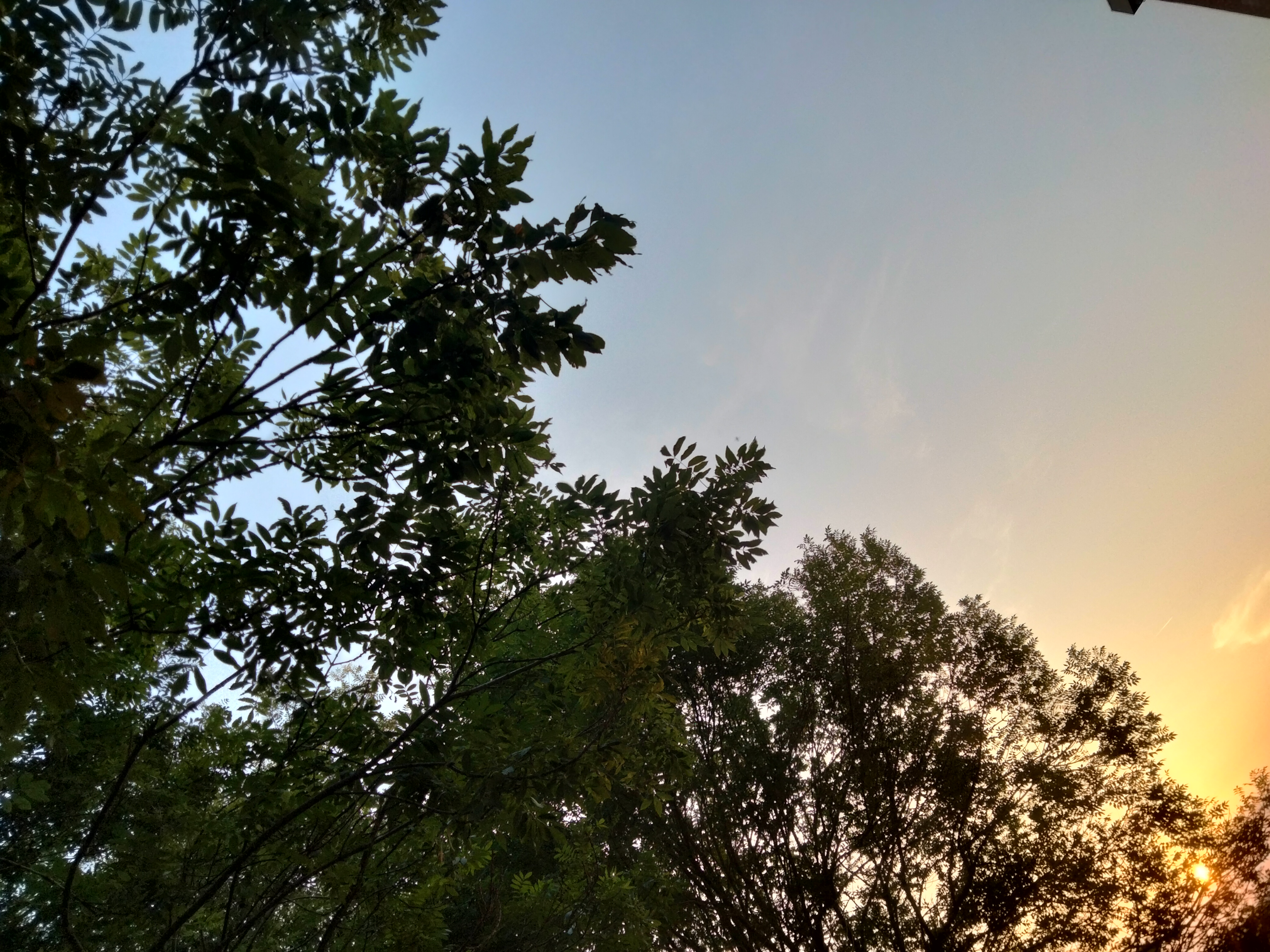 IMG20220713212614.jpg