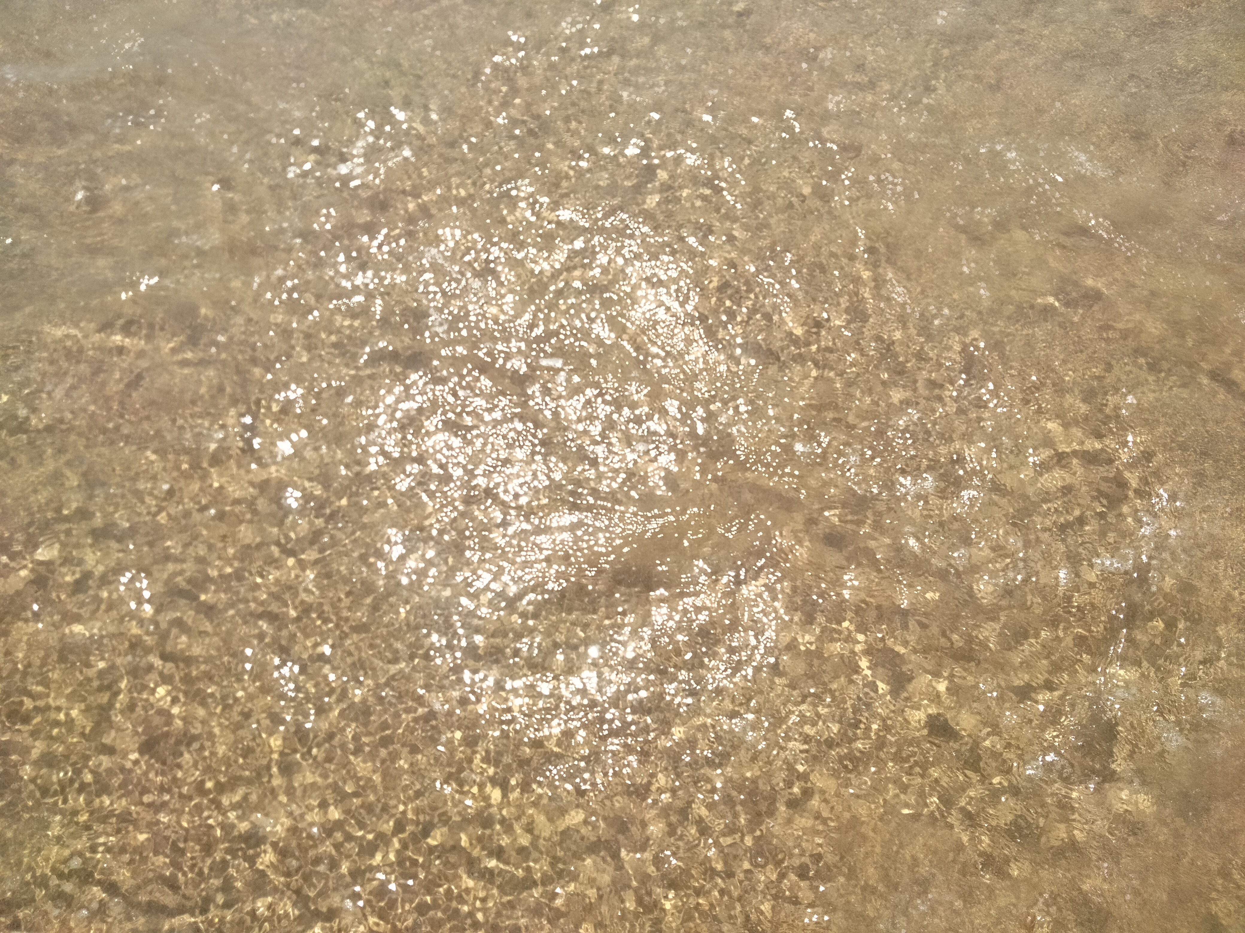 IMG20220717123103.jpg