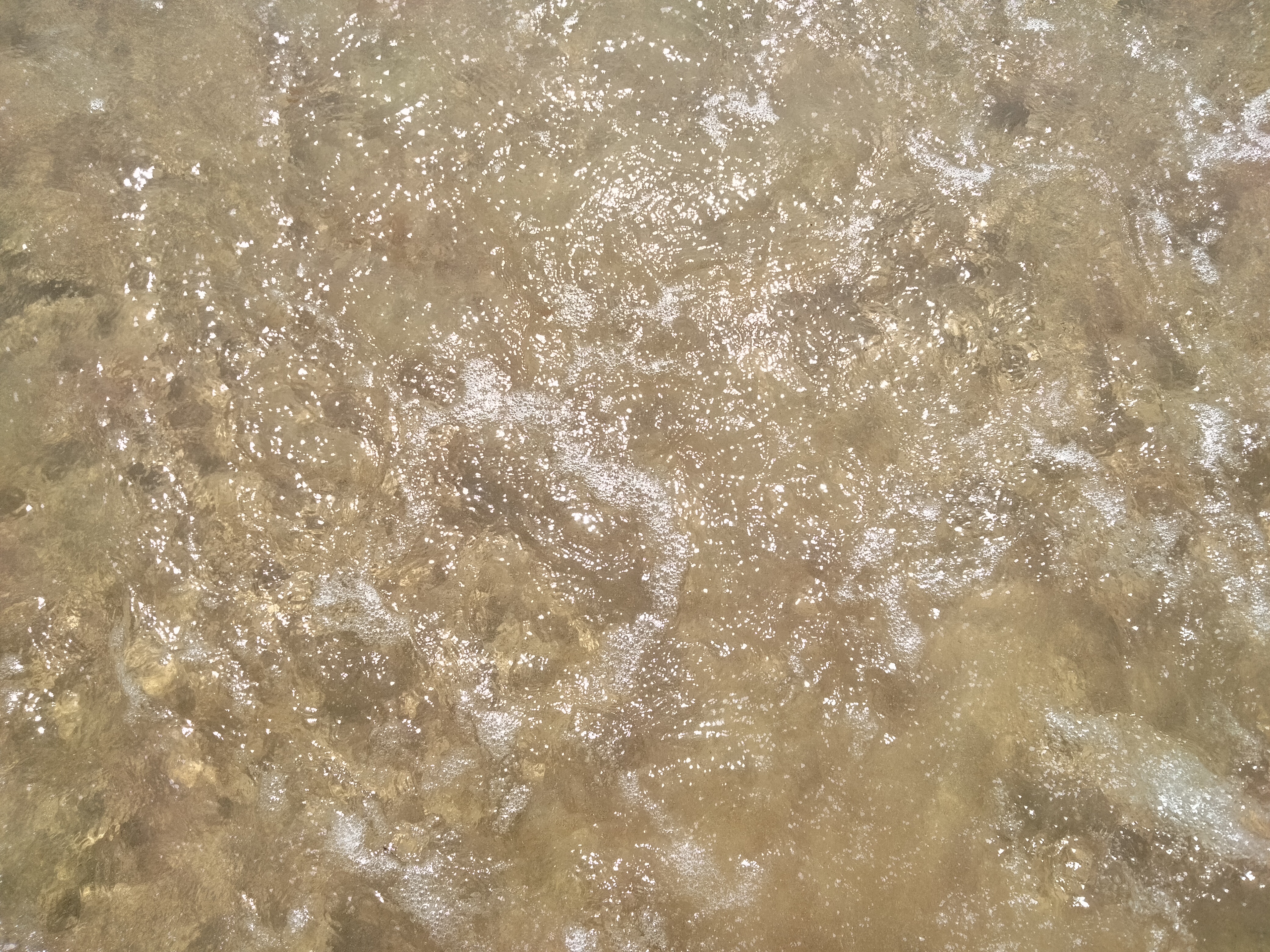 IMG20220717123114.jpg