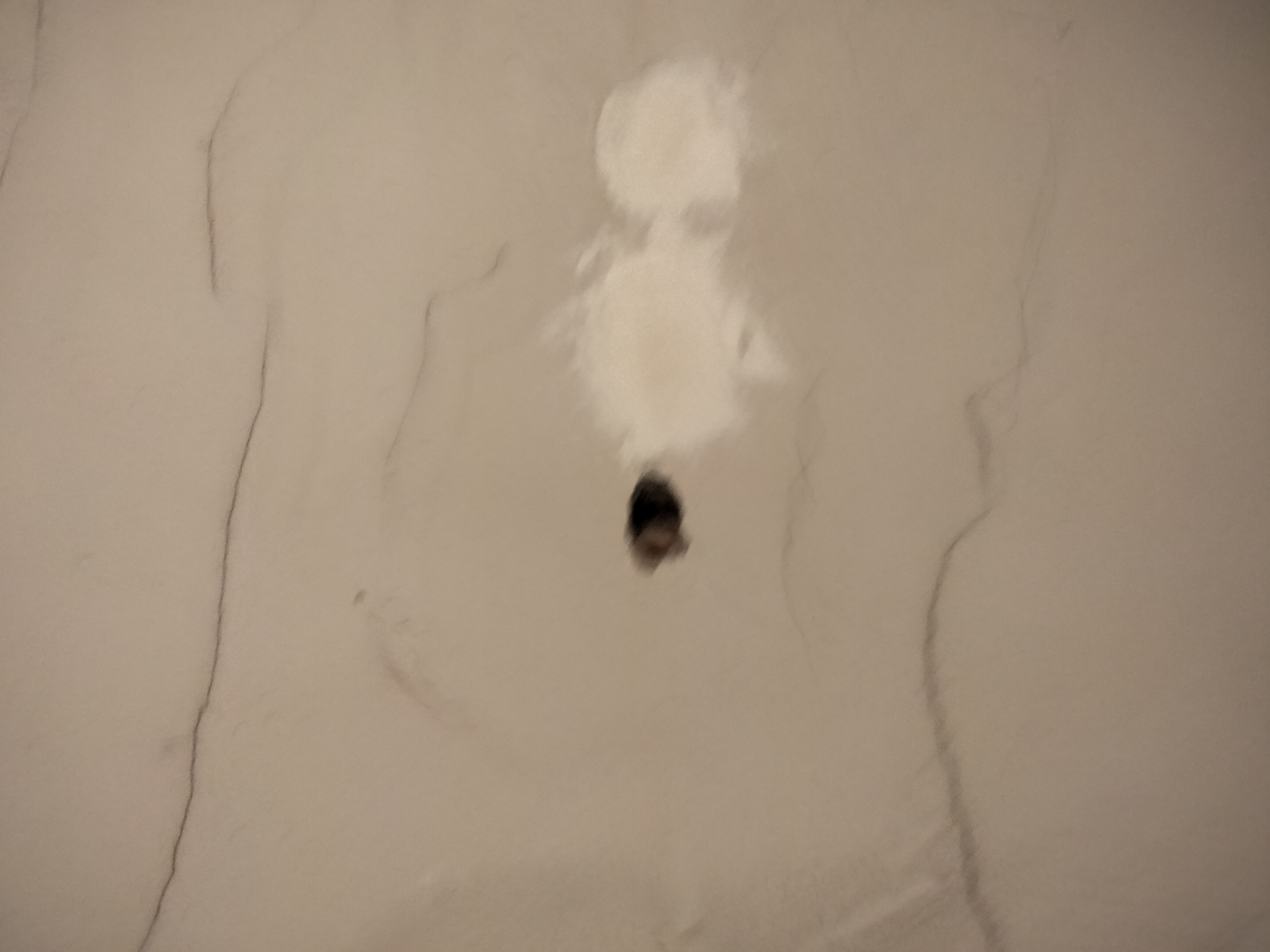 IMG20220721204832.jpg