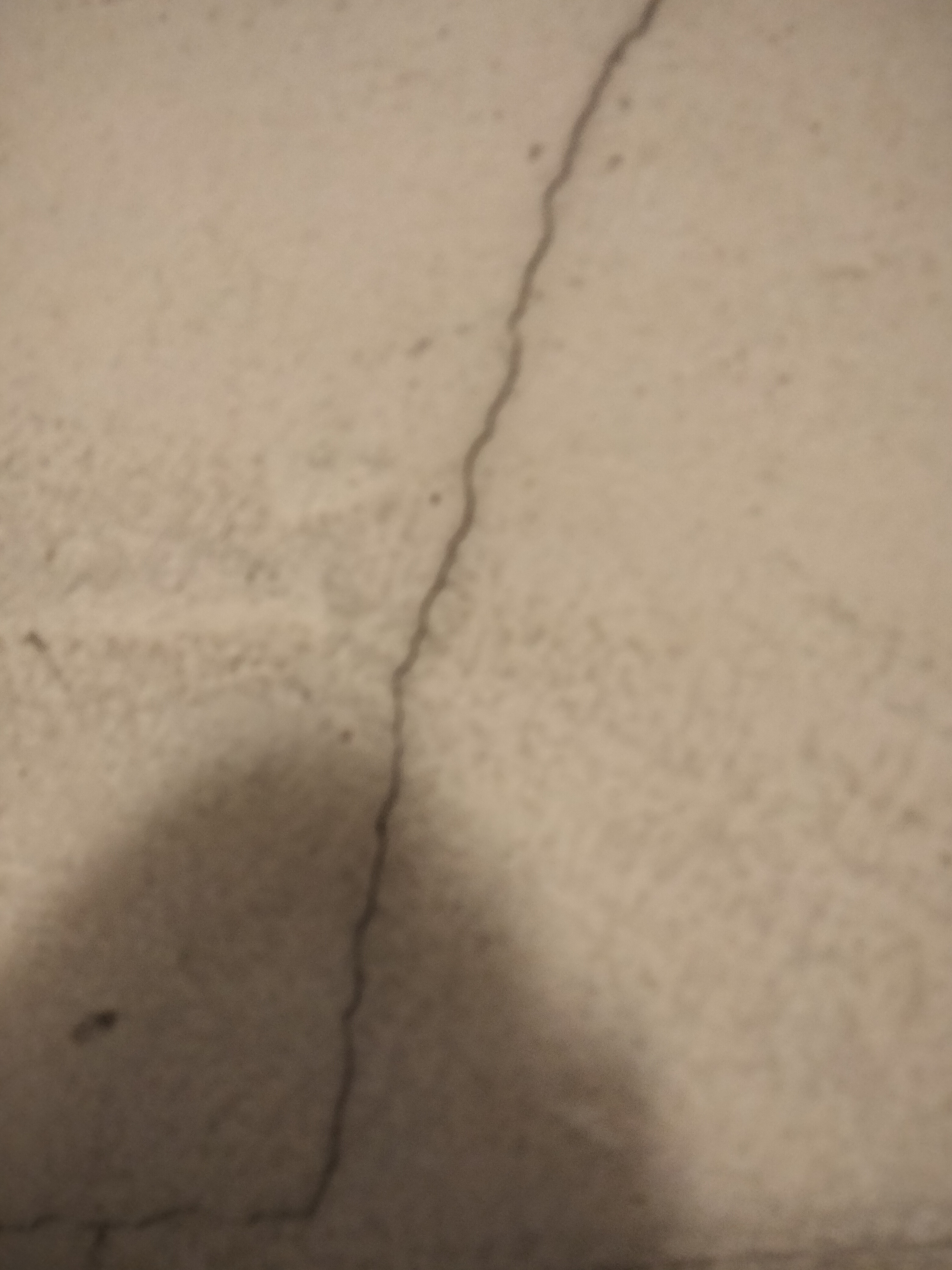 IMG20220721204905.jpg