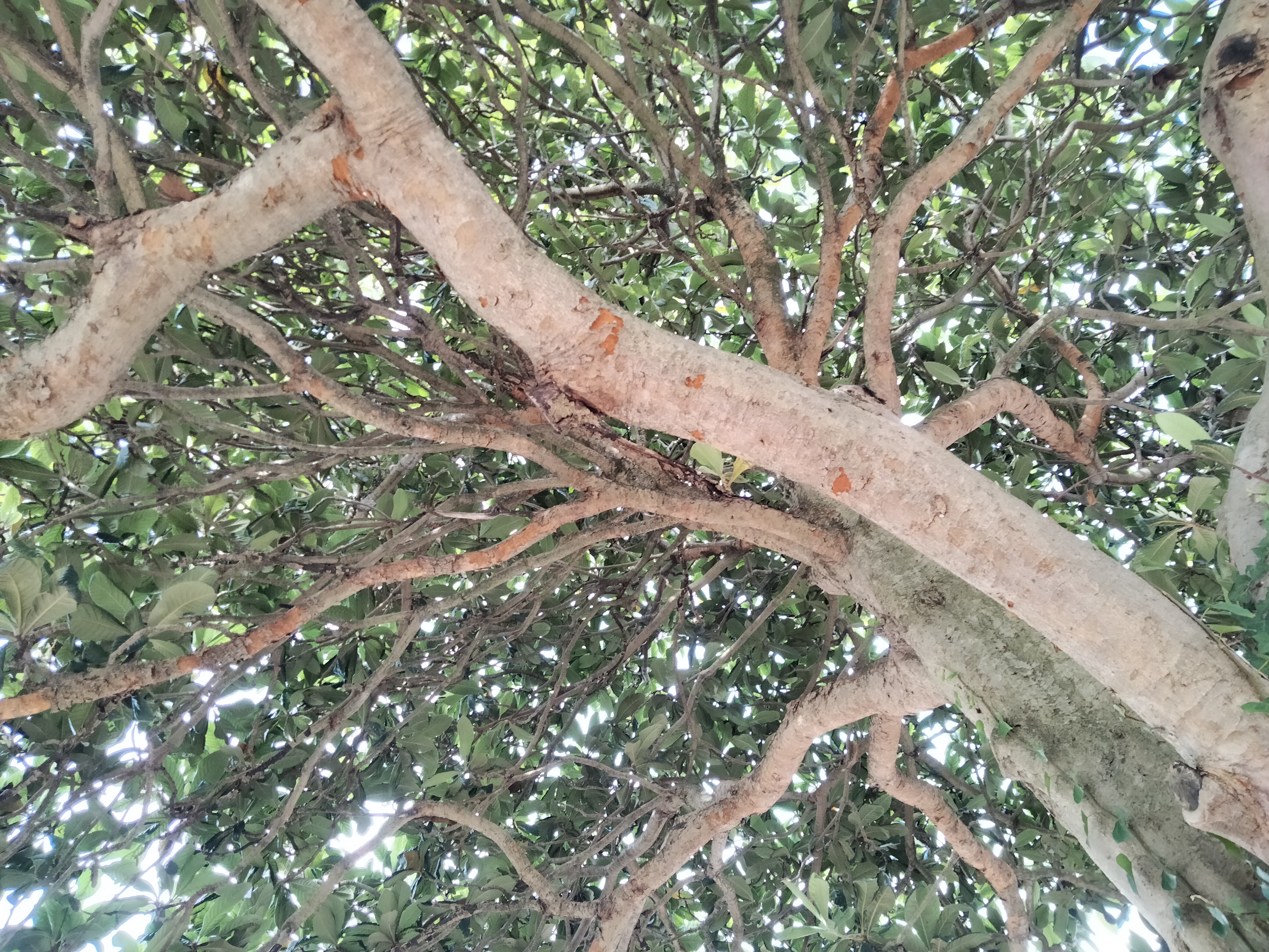 IMG20220725102635.jpg