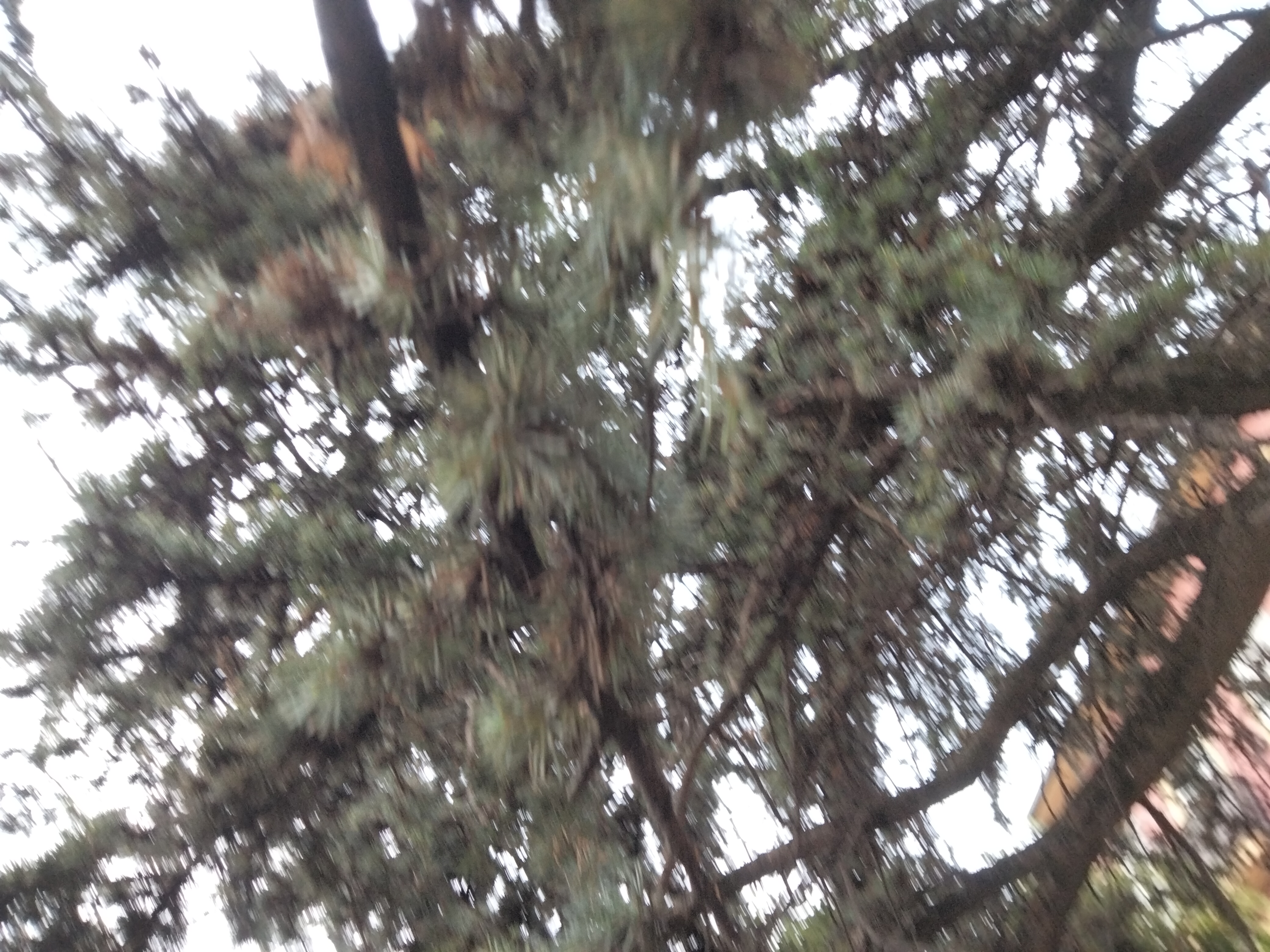 IMG20220804084414.jpg