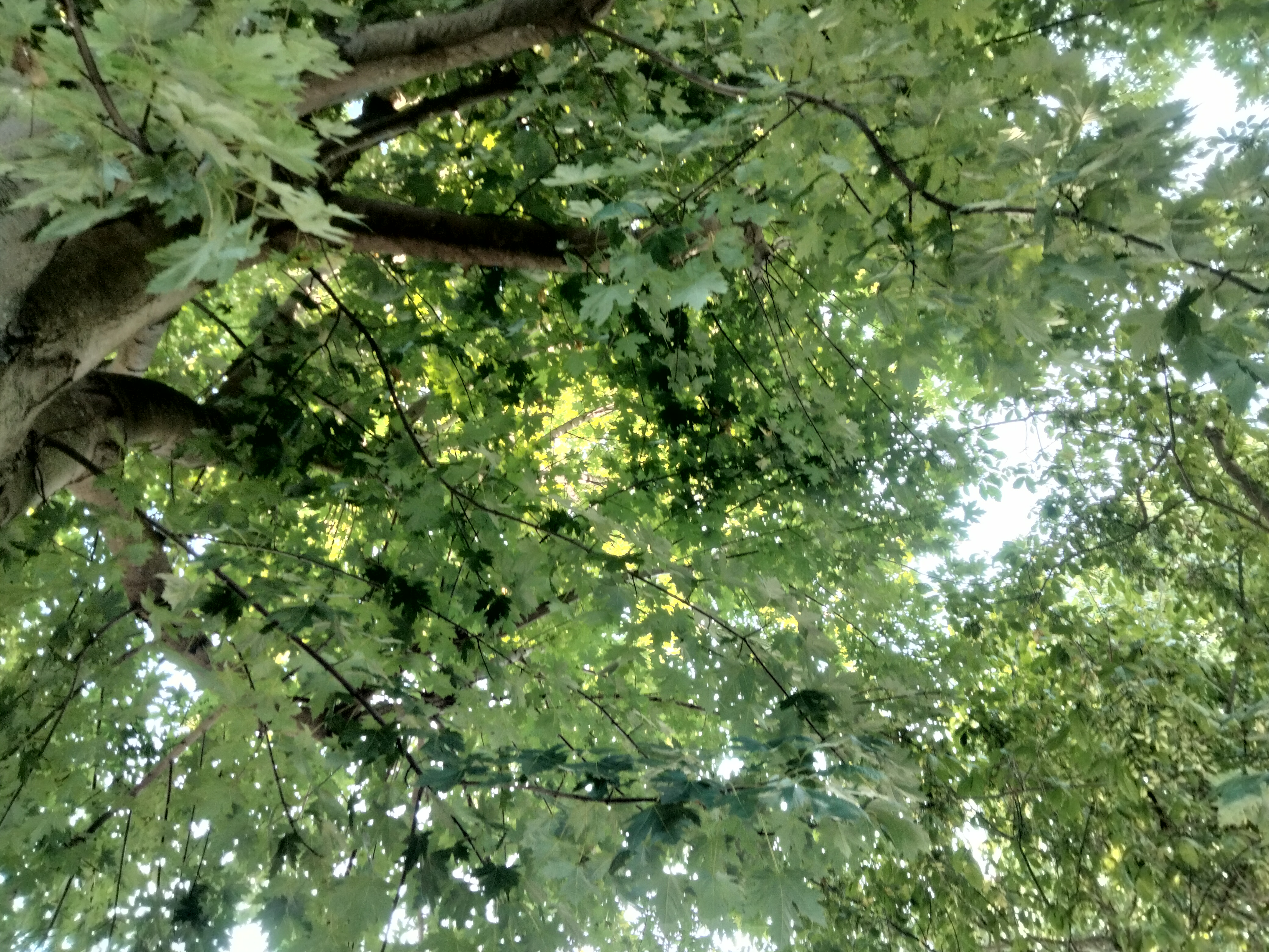 IMG20220807091230.jpg