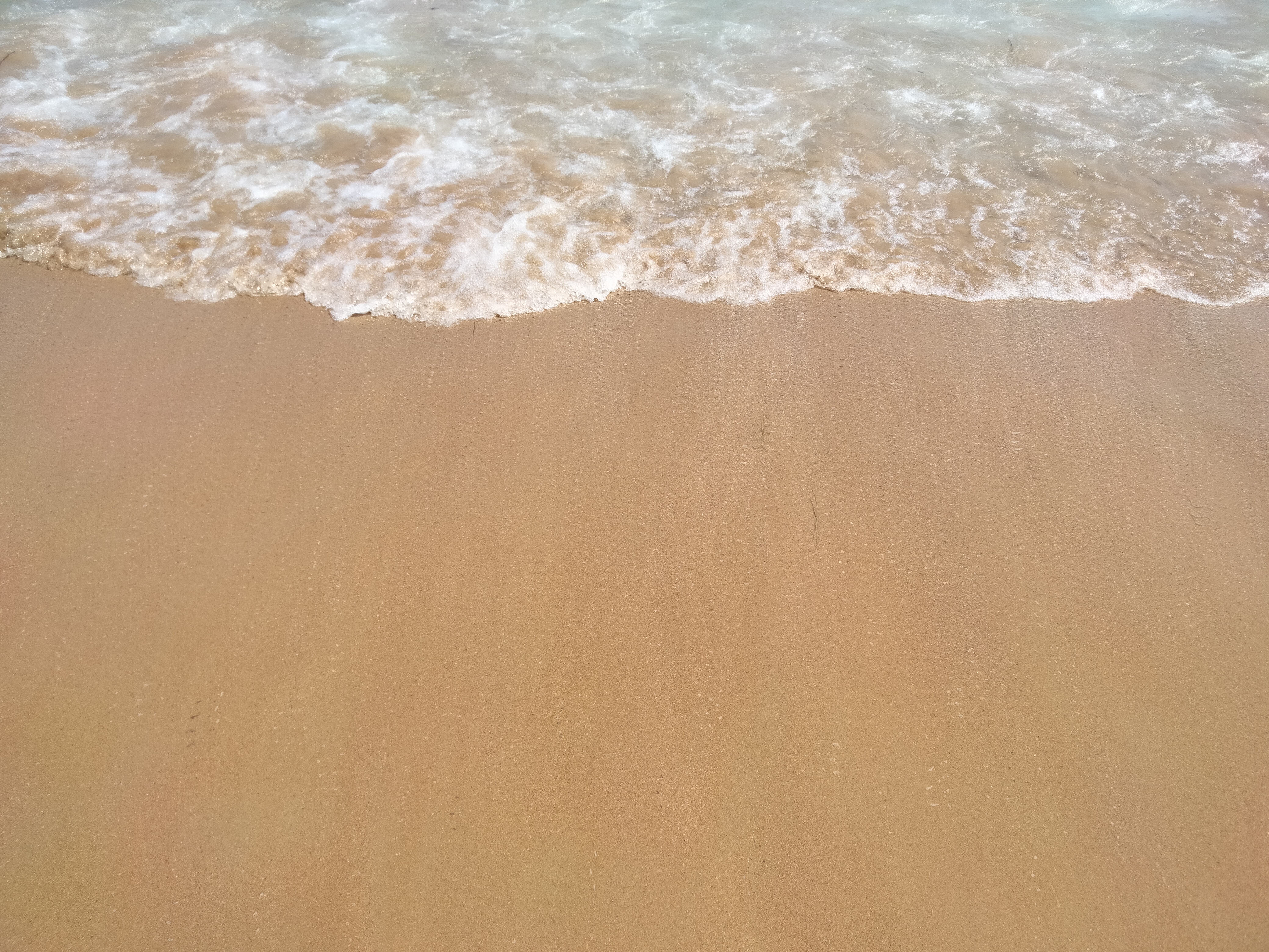 IMG20220807130516.jpg