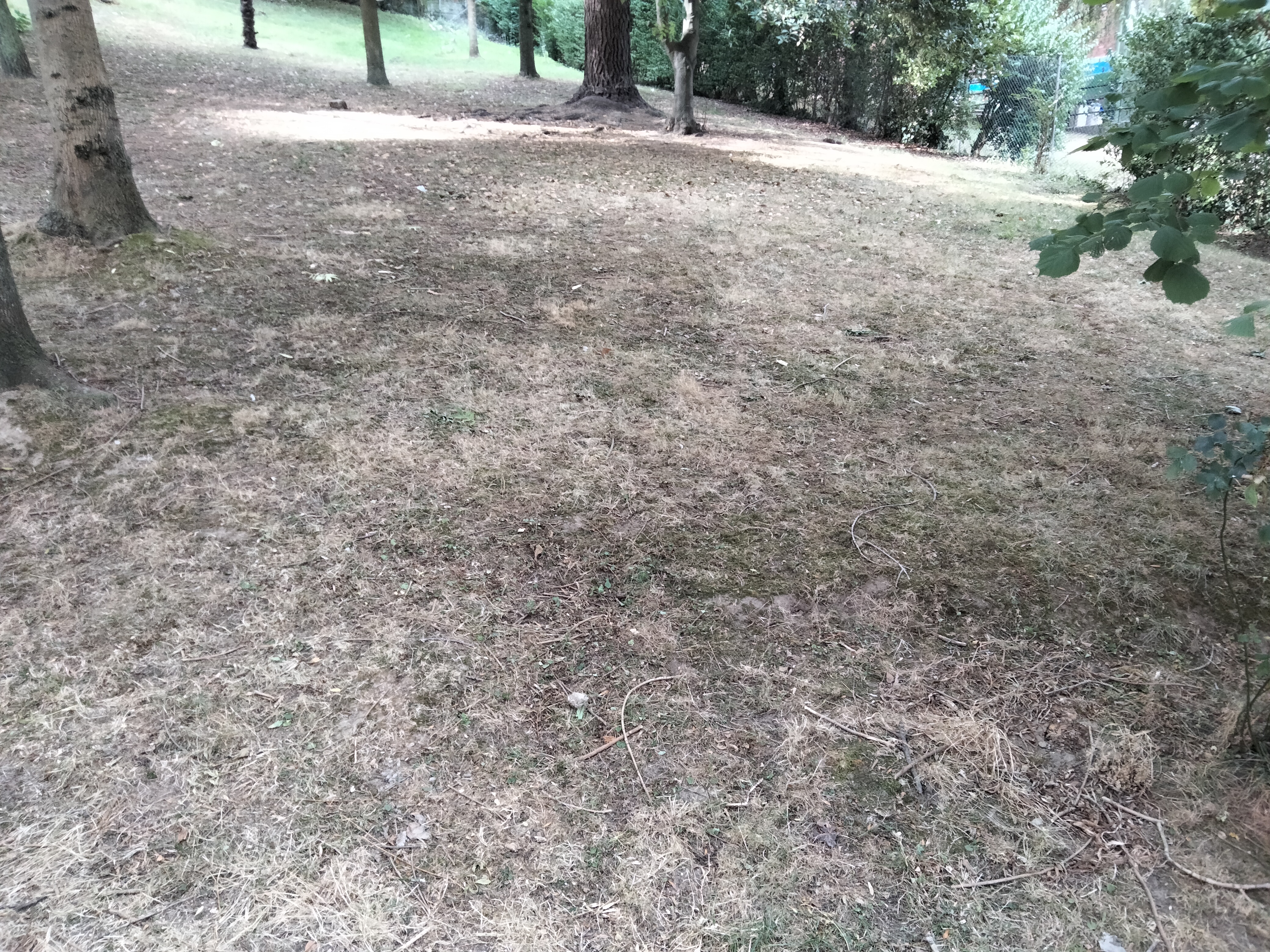 IMG20220816095443.jpg